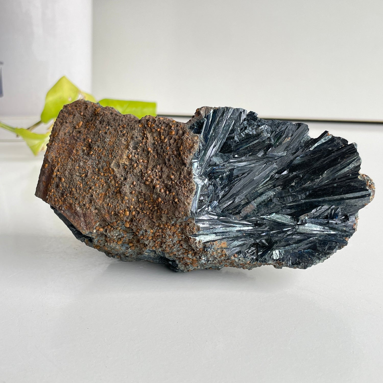 Vivianite Pc 593g