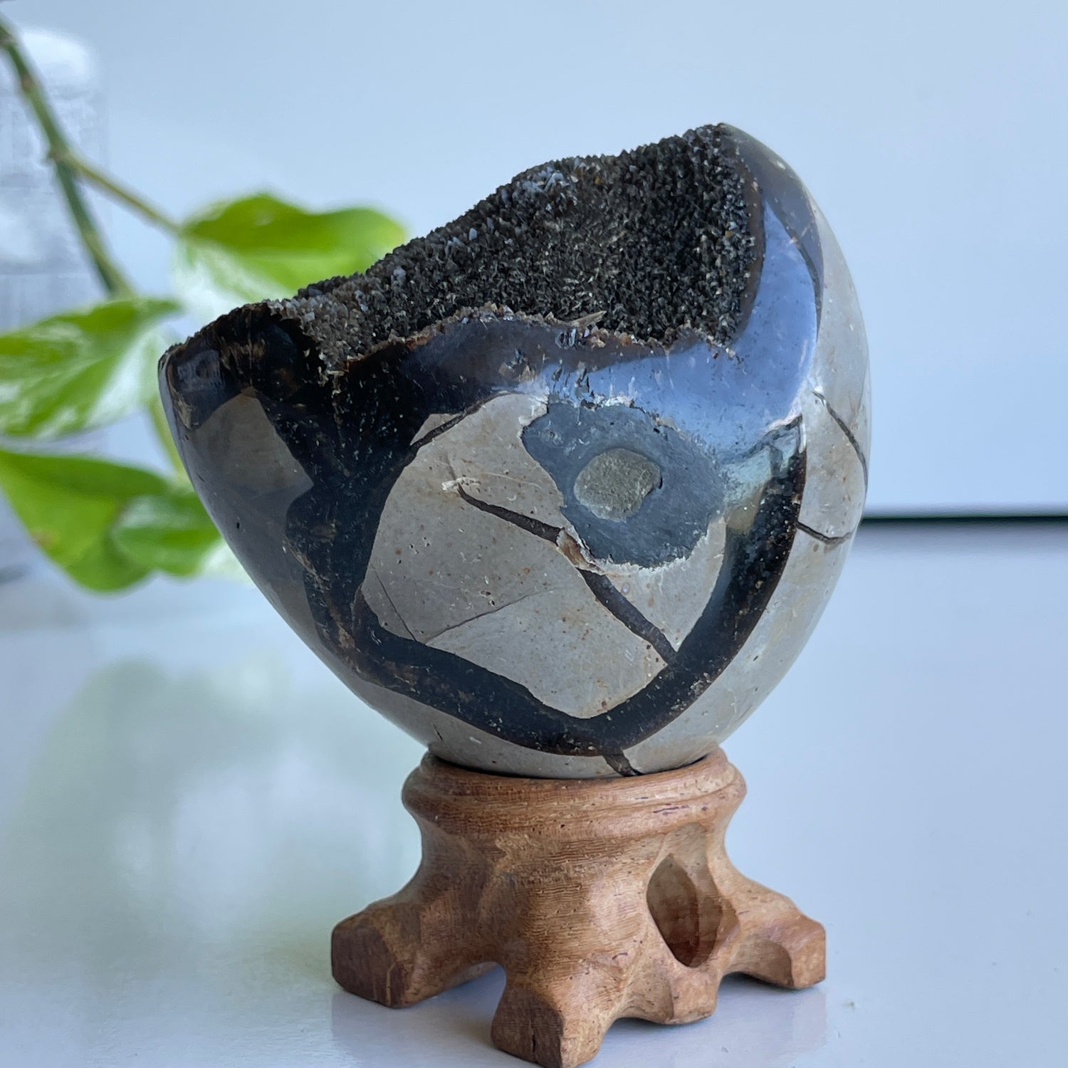 Septarian Egg 6.7cm