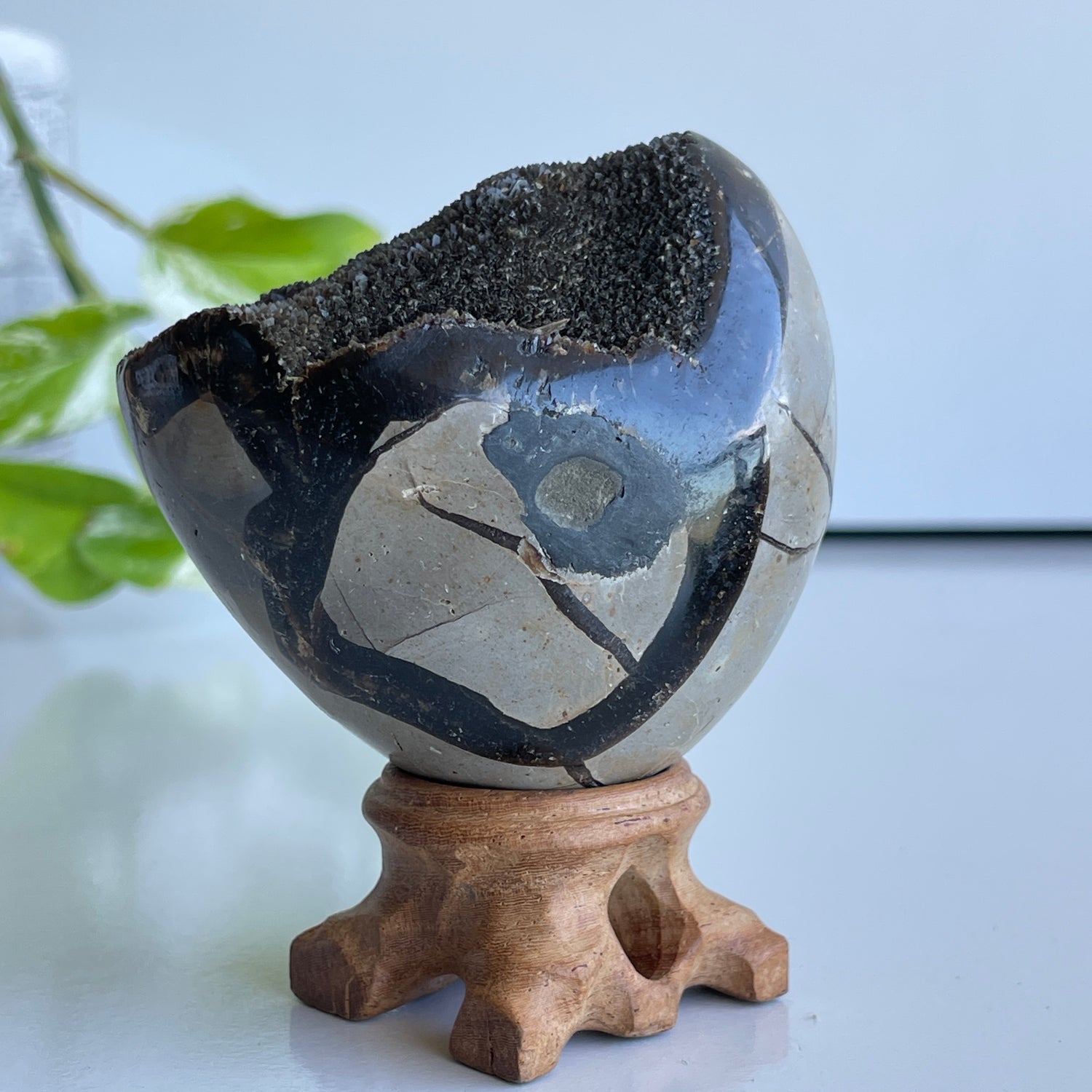 Septarian Egg 6.7cm