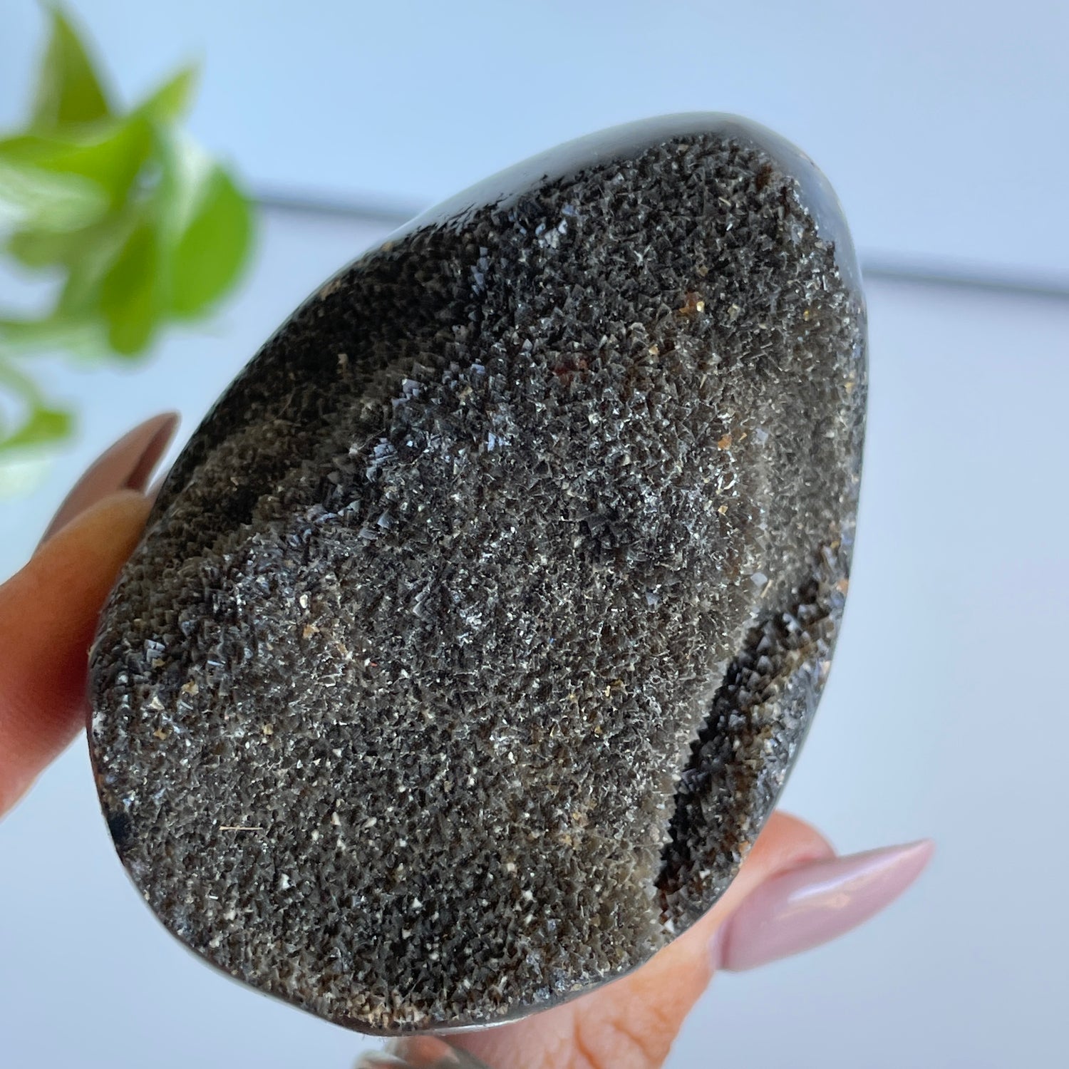 Septarian Egg 6.7cm