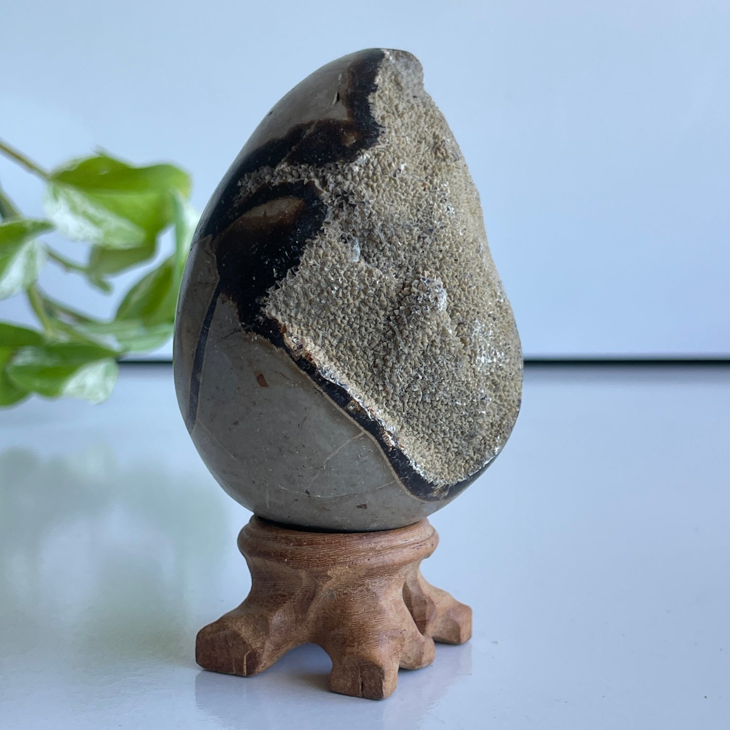Septarian Egg 8.2cm