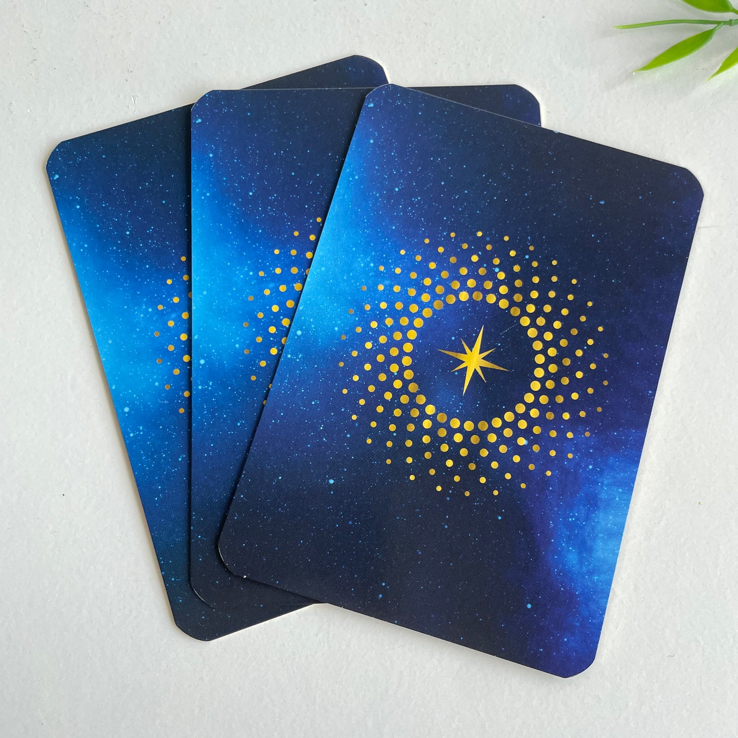 Avatar Oracle Nari Anastarsia