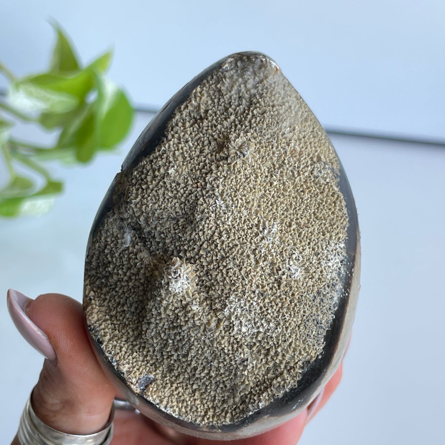 Septarian Egg 8.2cm