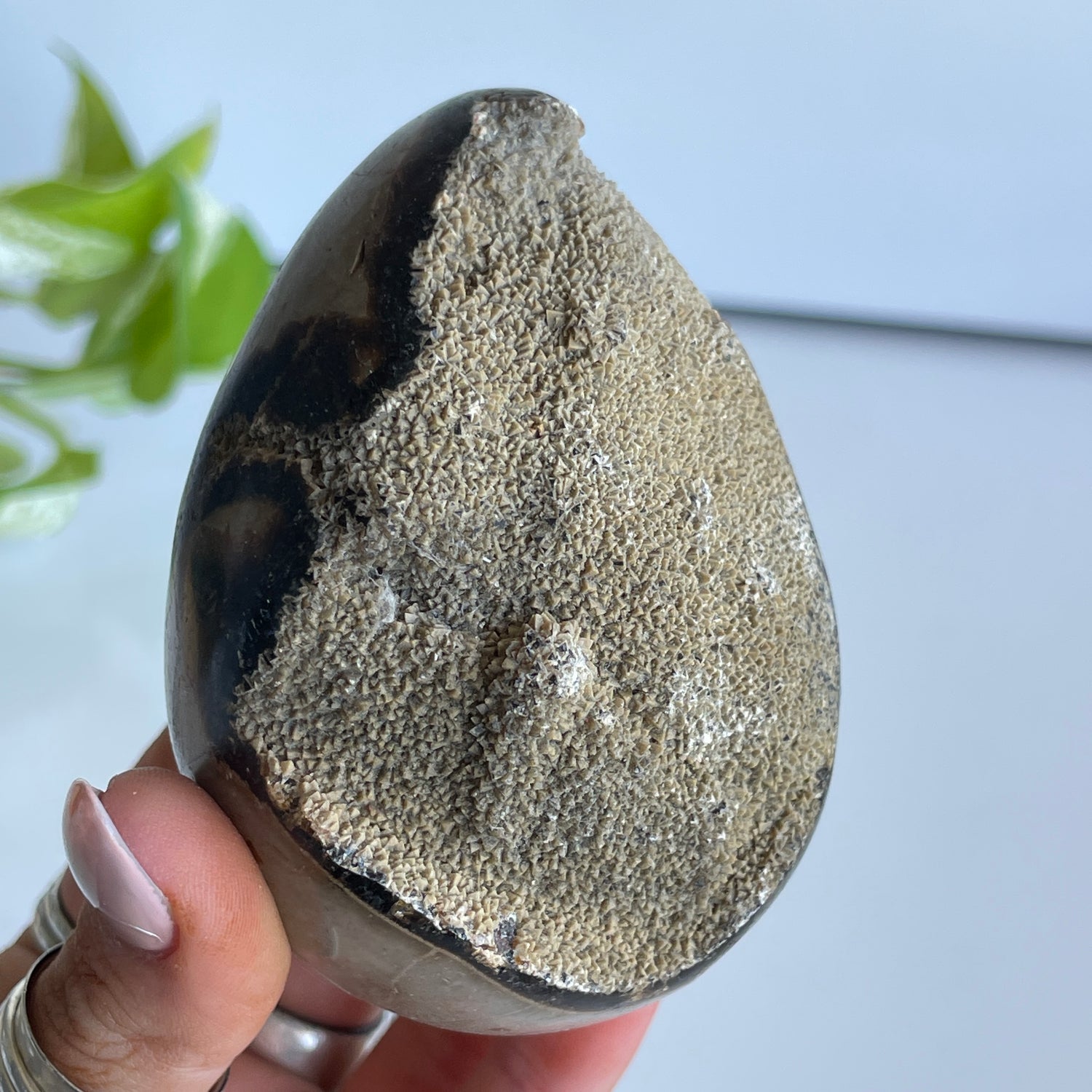 Septarian Egg 8.2cm