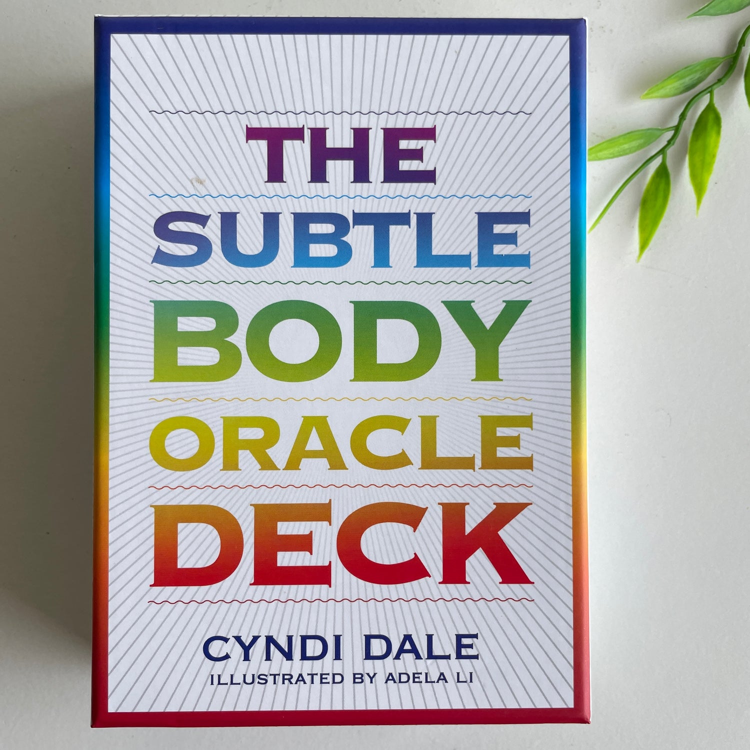 Subtle Body Oracle Cards Cyndi Dale