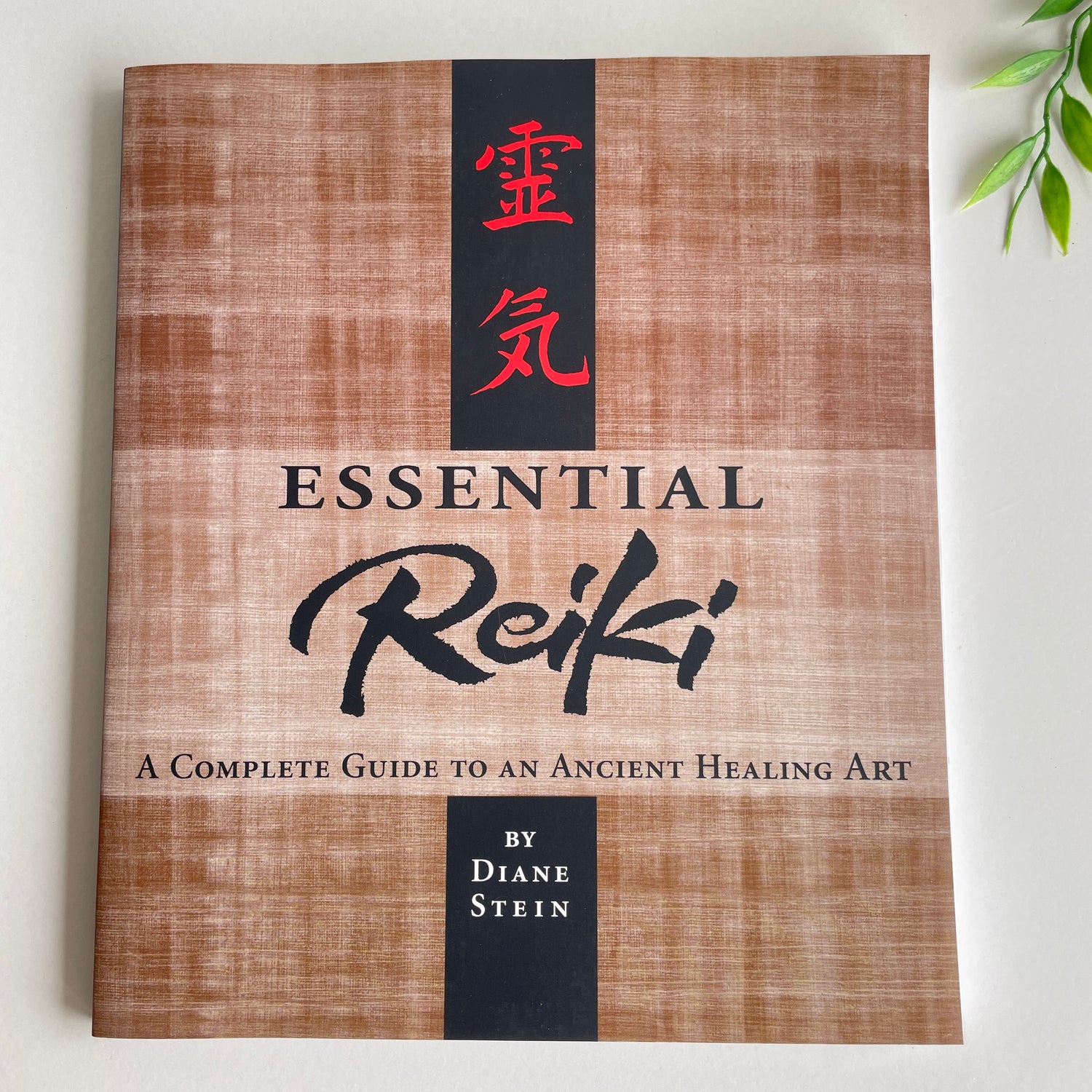 Essential Reiki Diane Stein