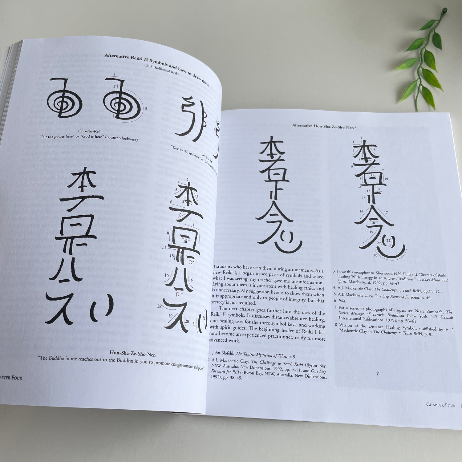 Essential Reiki Diane Stein