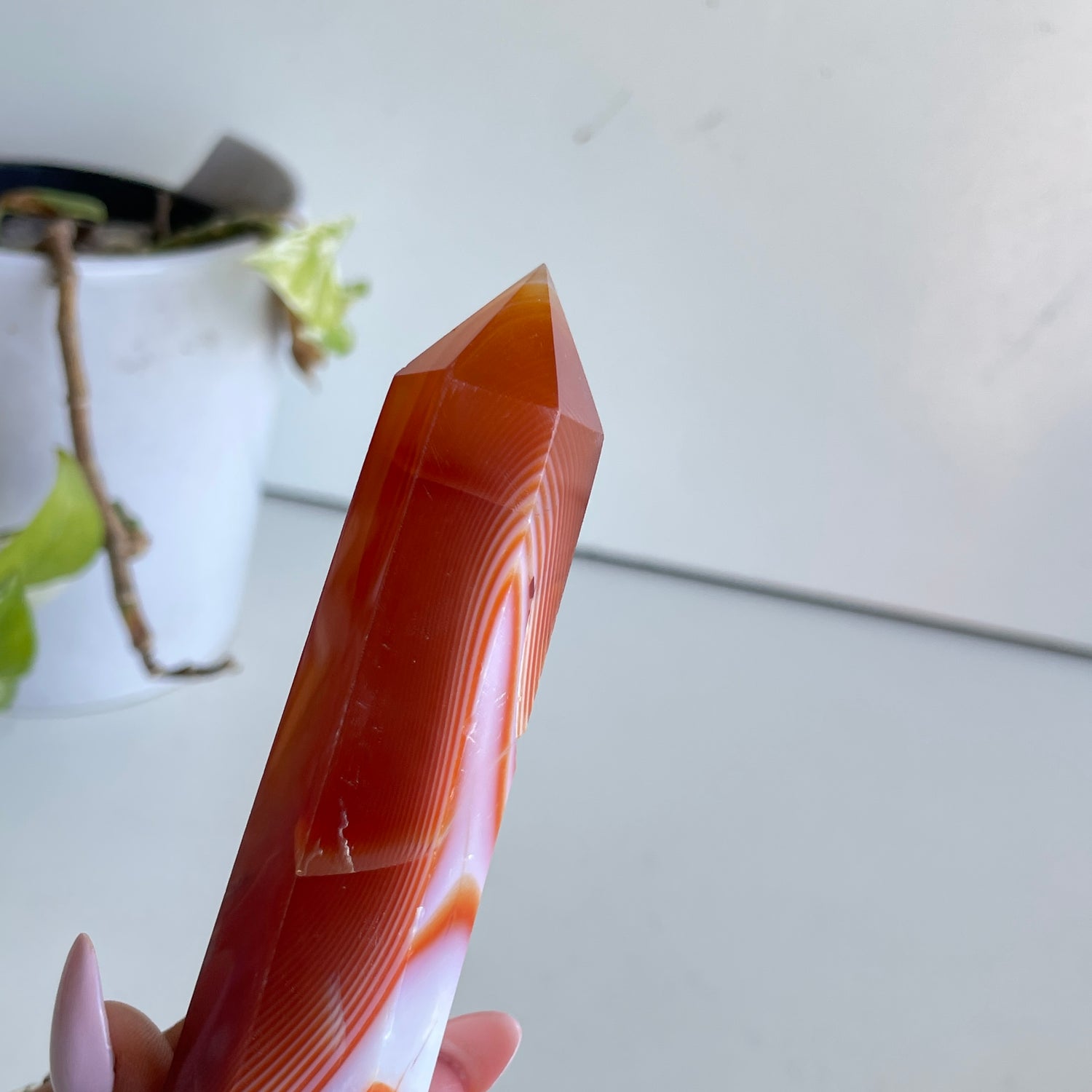 Carnelian Generator 15.4cm