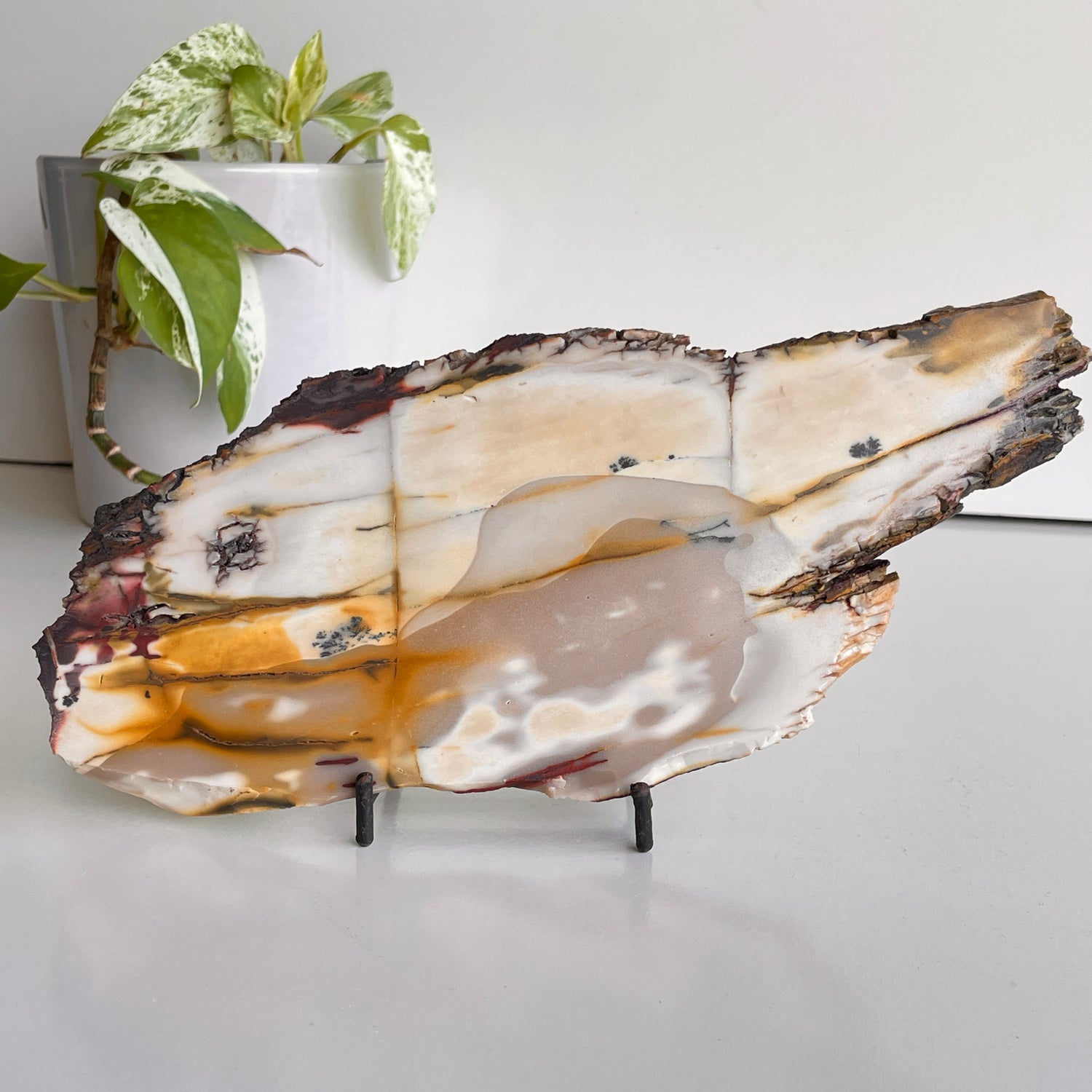 Mookaite Slice 480g