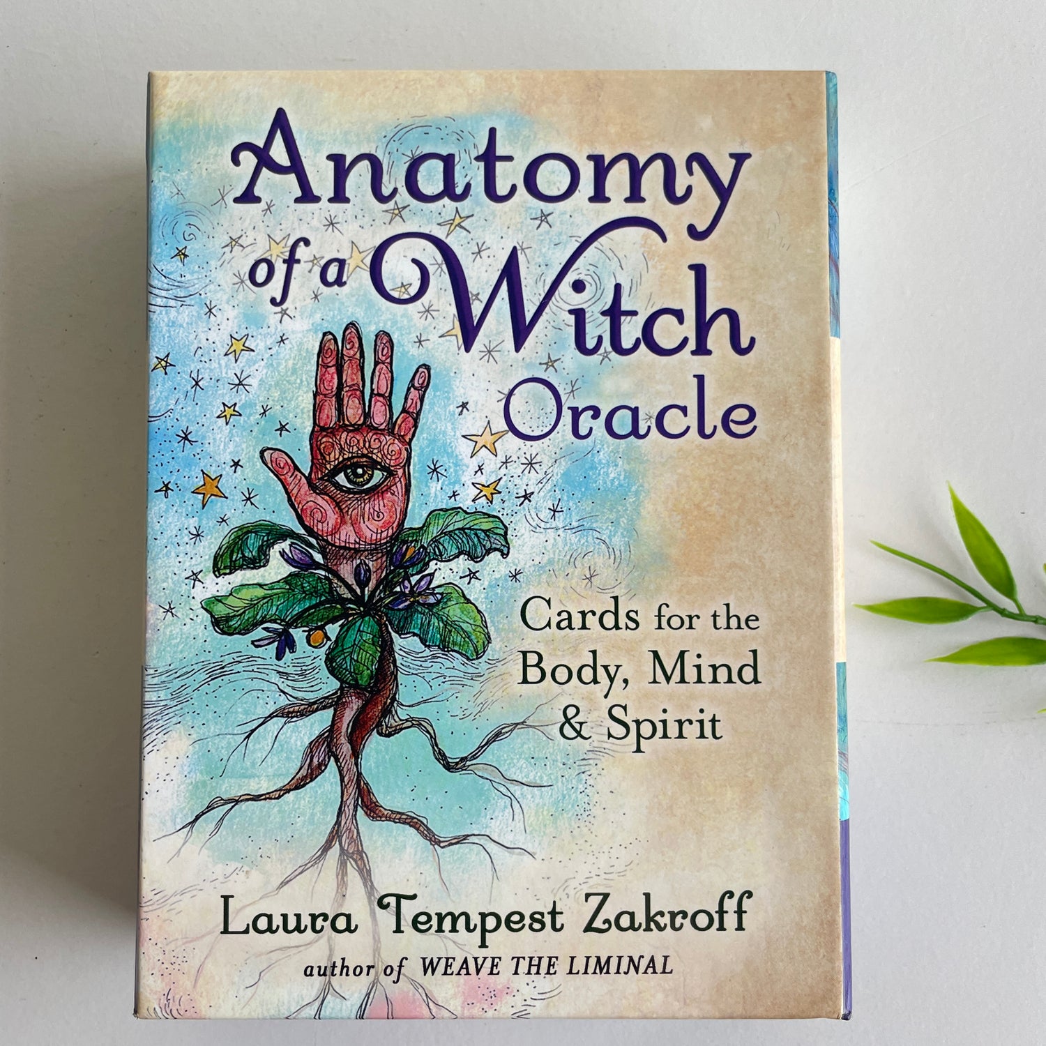 Anatomy Of A Witch Oracle Laura Tempest Zakroff