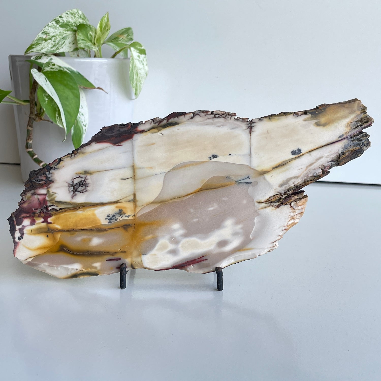 Mookaite Slice 480g