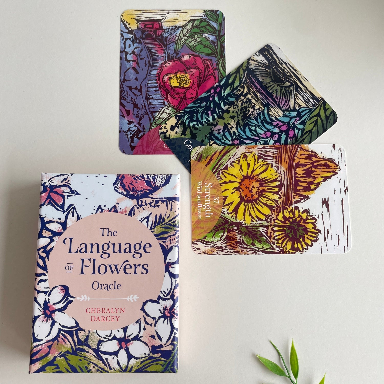 The Language Of Flowers Oracle Cards