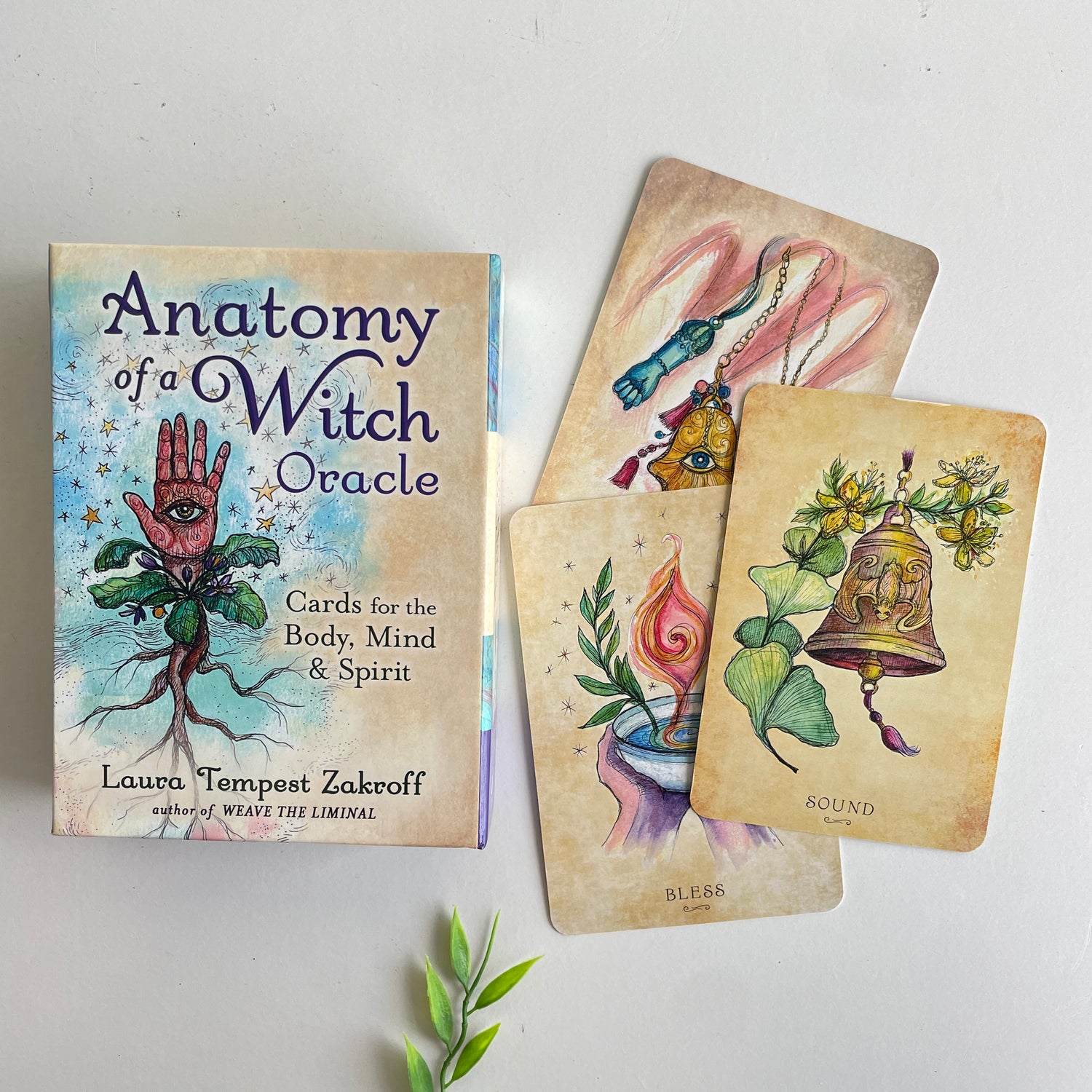 Anatomy Of A Witch Oracle Laura Tempest Zakroff