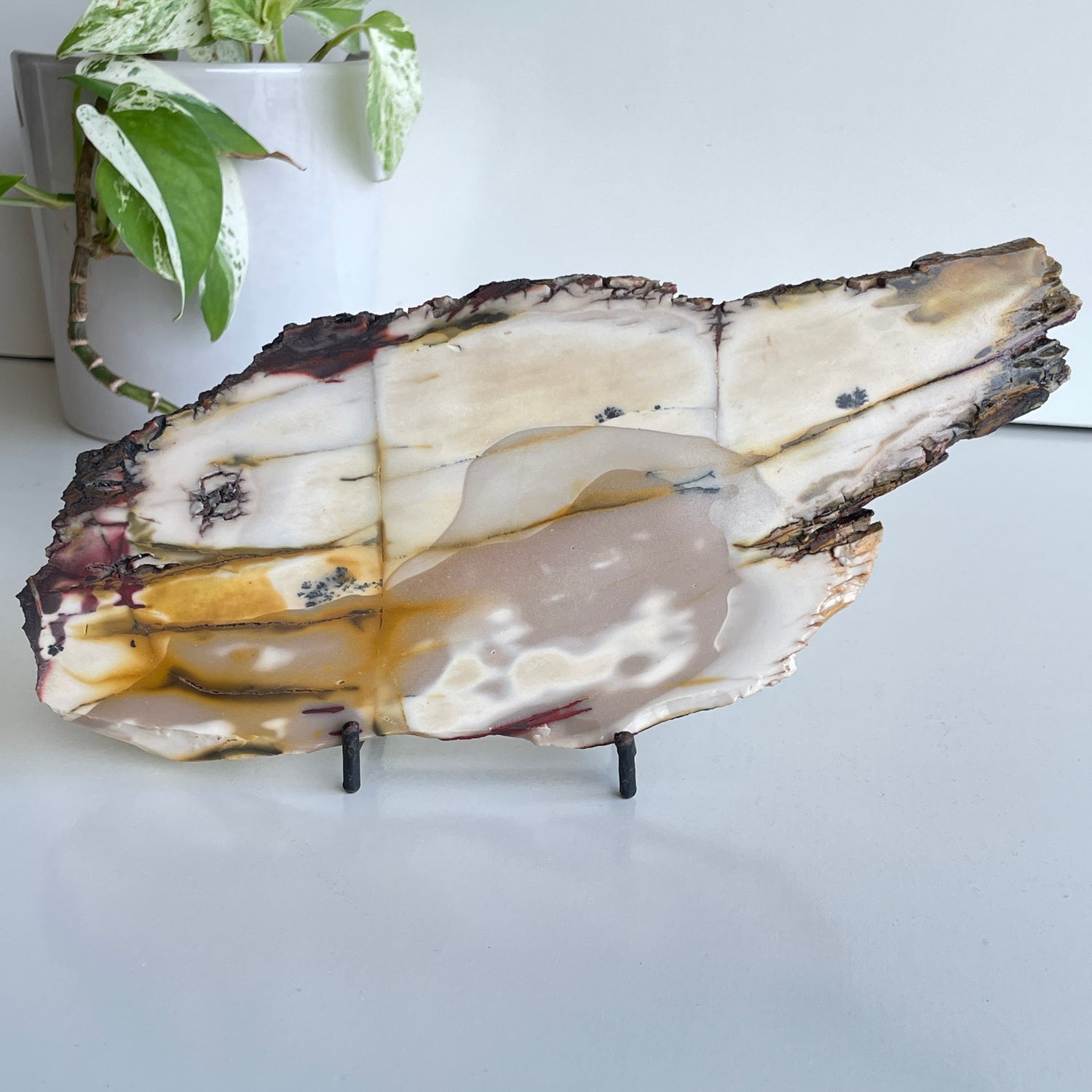 Mookaite Slice 480g