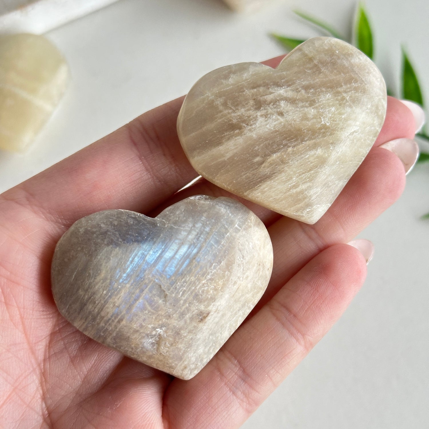 Moonstone Heart Medium Assorted