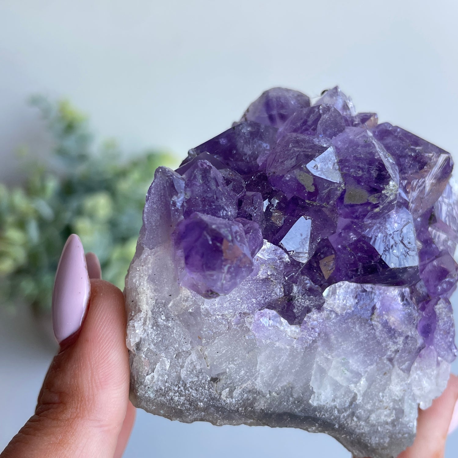 Amethyst Cluster 172g