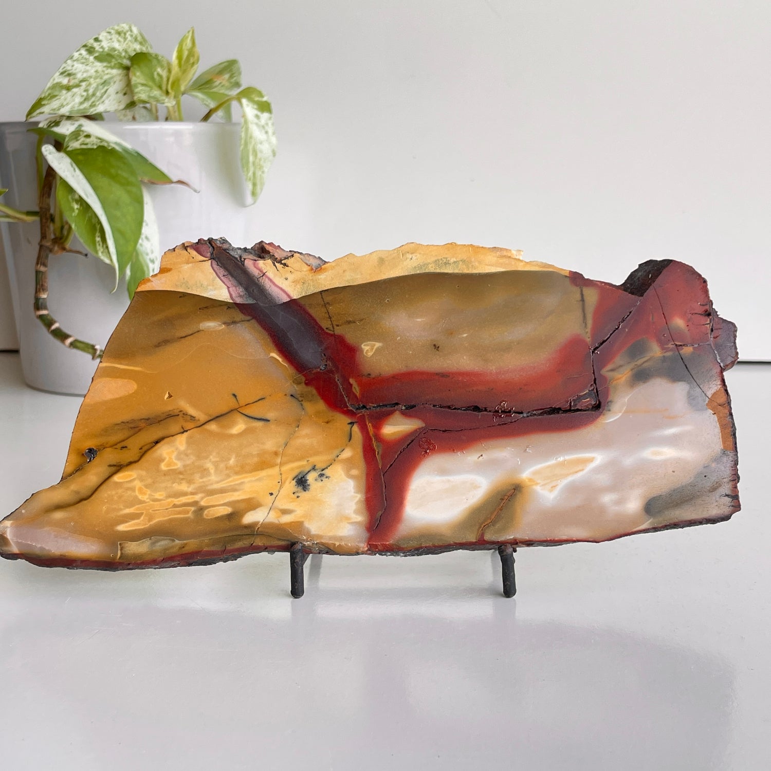 Mookaite Slice 448g