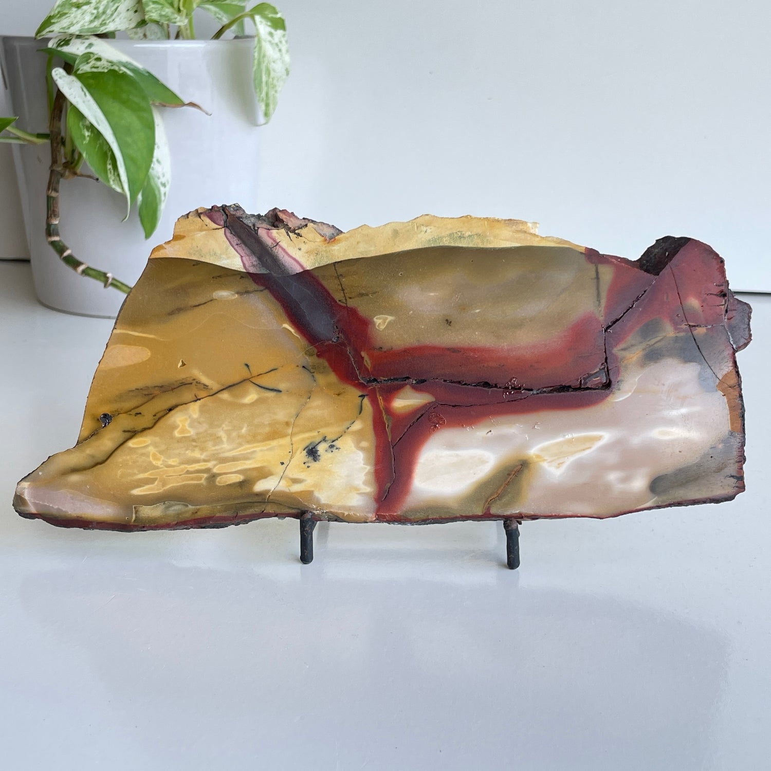 Mookaite Slice 448g