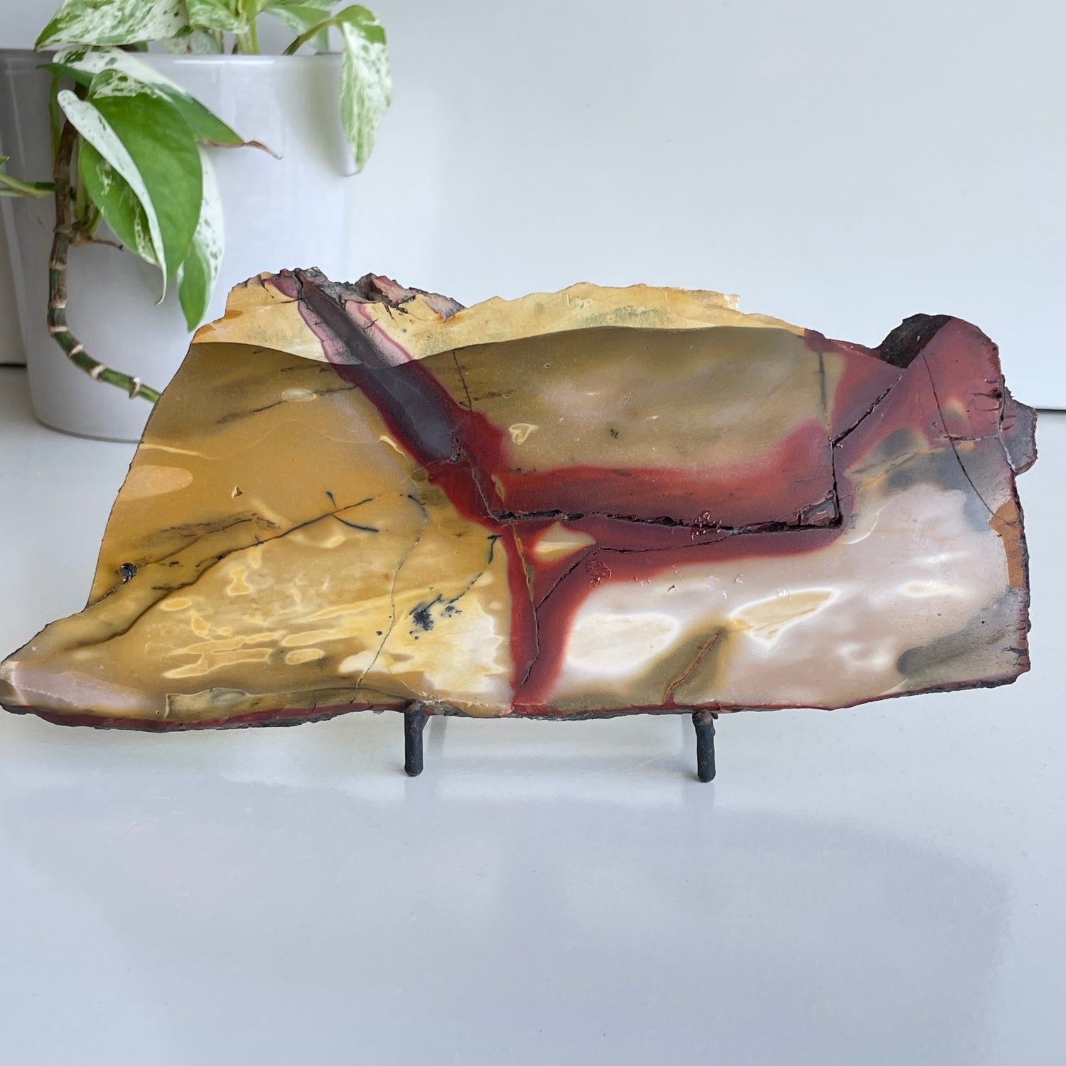 Mookaite Slice 448g