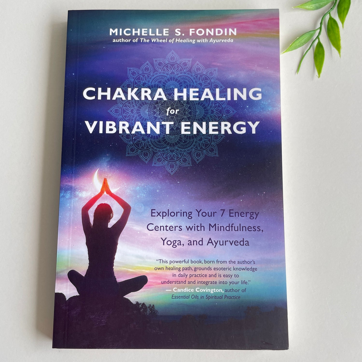 Chakra Healing For Vibrant Energy Michelle Fondin