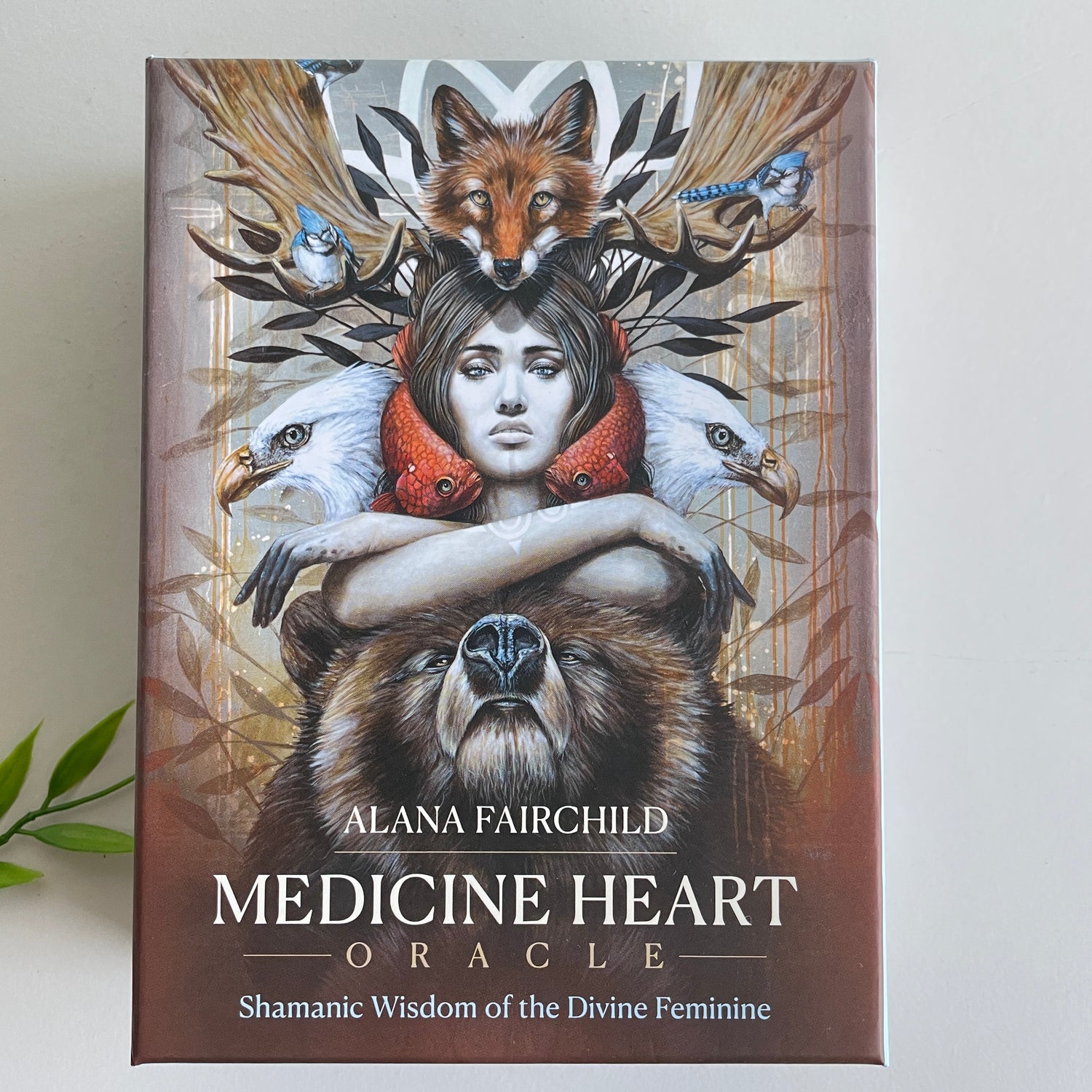 Medicine Heart Oracle Cards Alana Fairchild