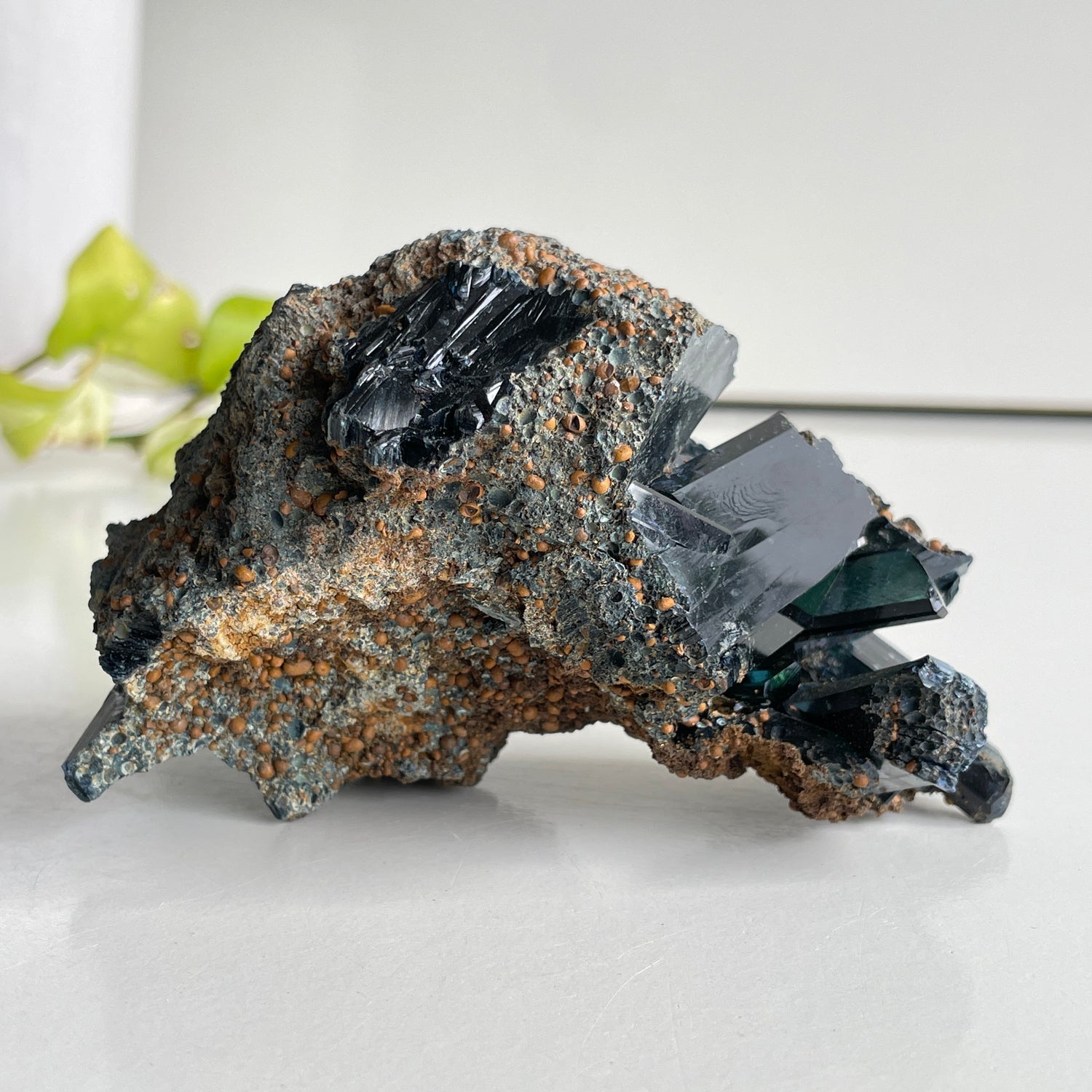Vivianite Pc 361g