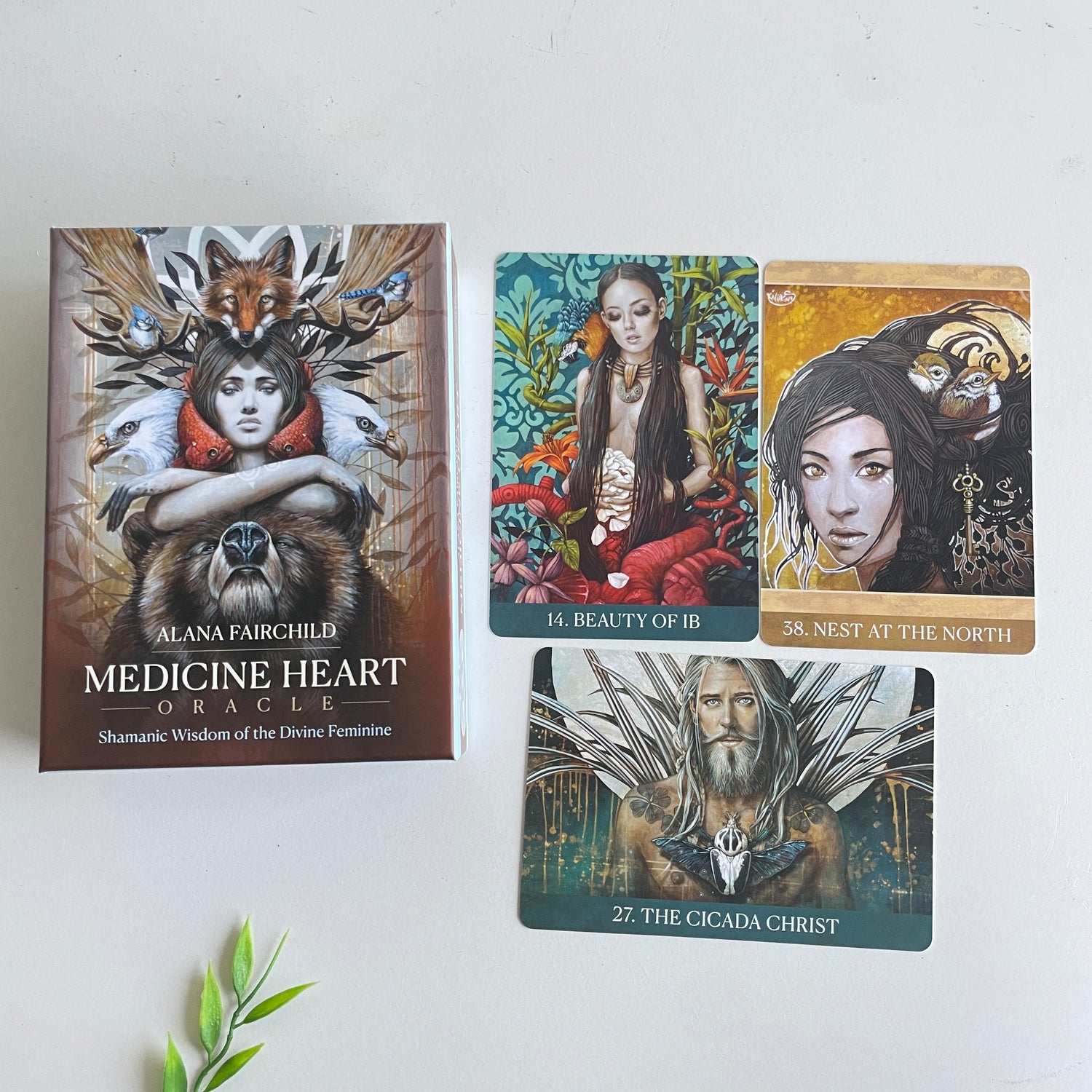 Medicine Heart Oracle Cards Alana Fairchild