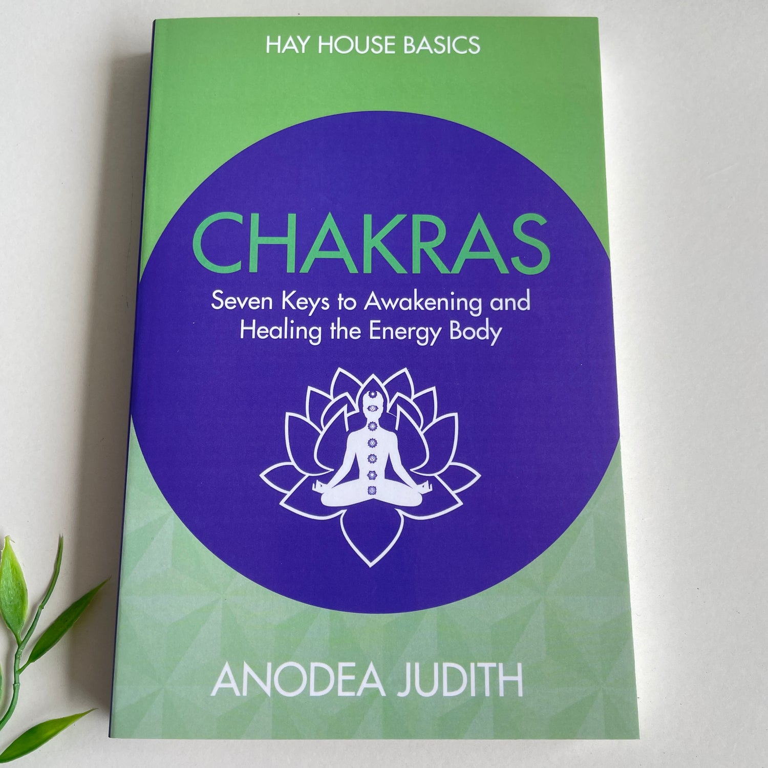 Hay House Basics Chakras Anodea Judith