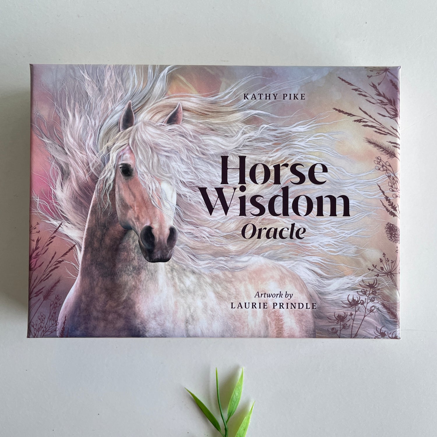 Horse Wisdom Oracle Kathy Pike
