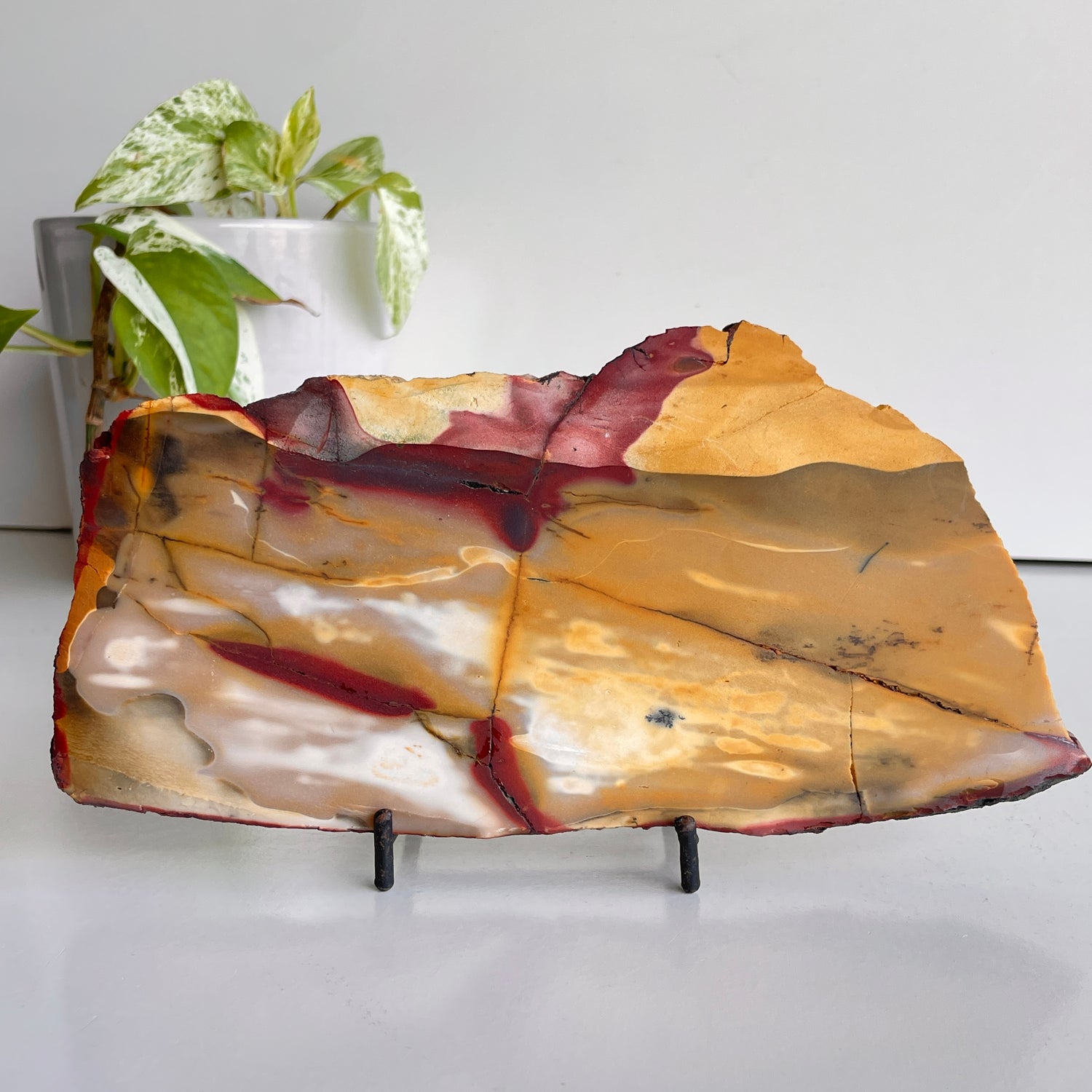 Mookaite Slice 476g