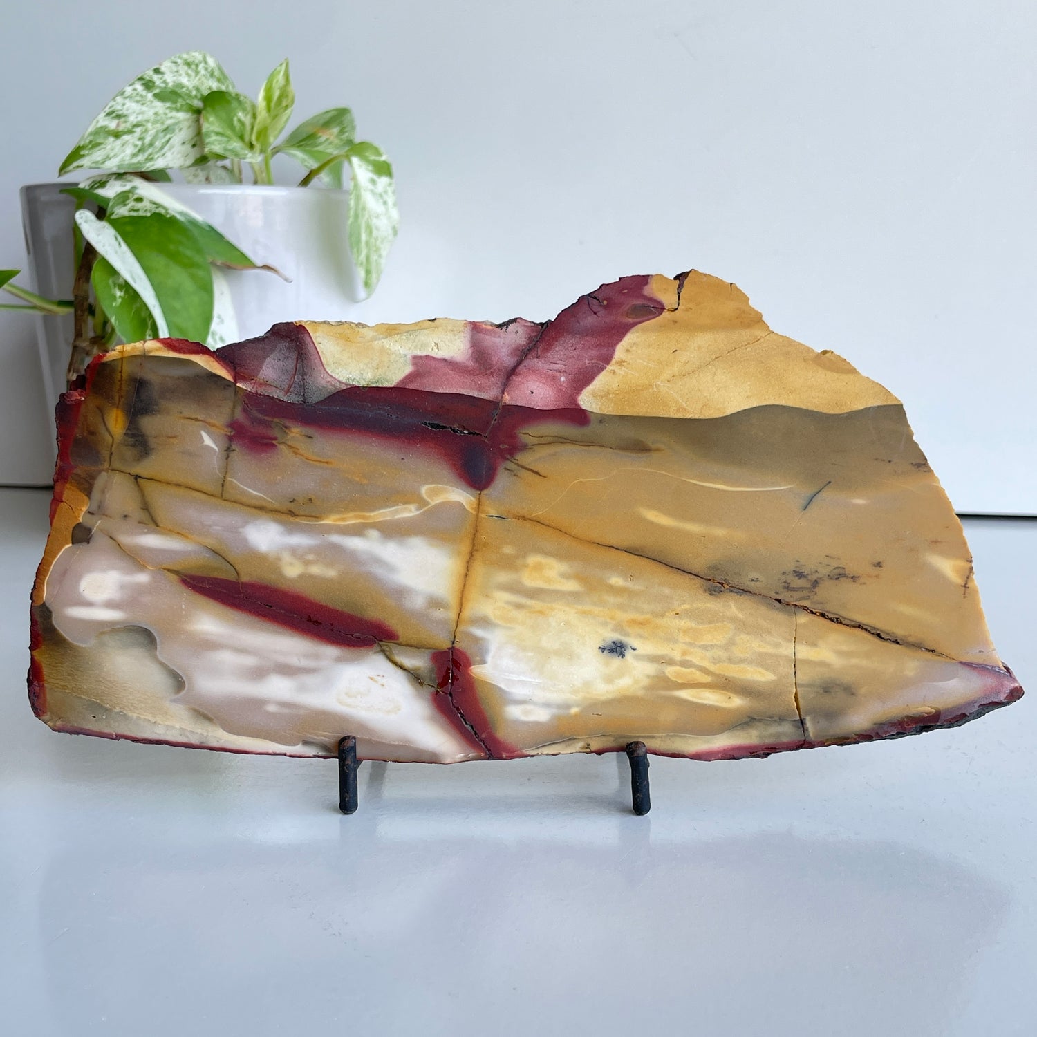Mookaite Slice 476g