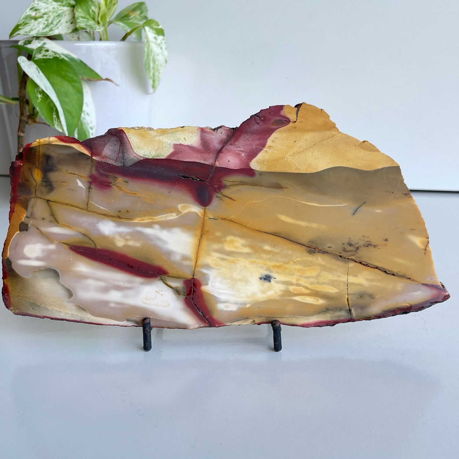 Mookaite Slice 476g