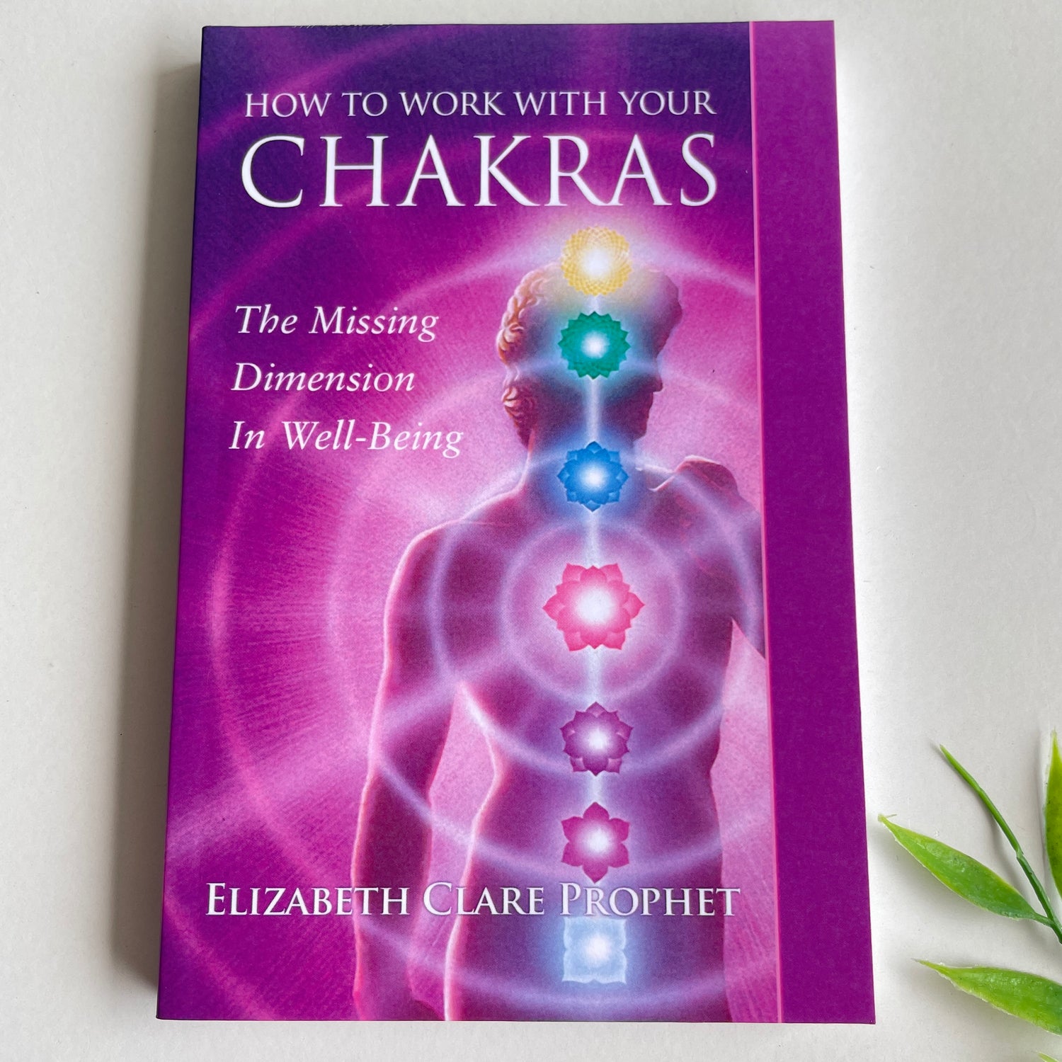How To Work With Your Chakras Elizabeth Clare Prophet