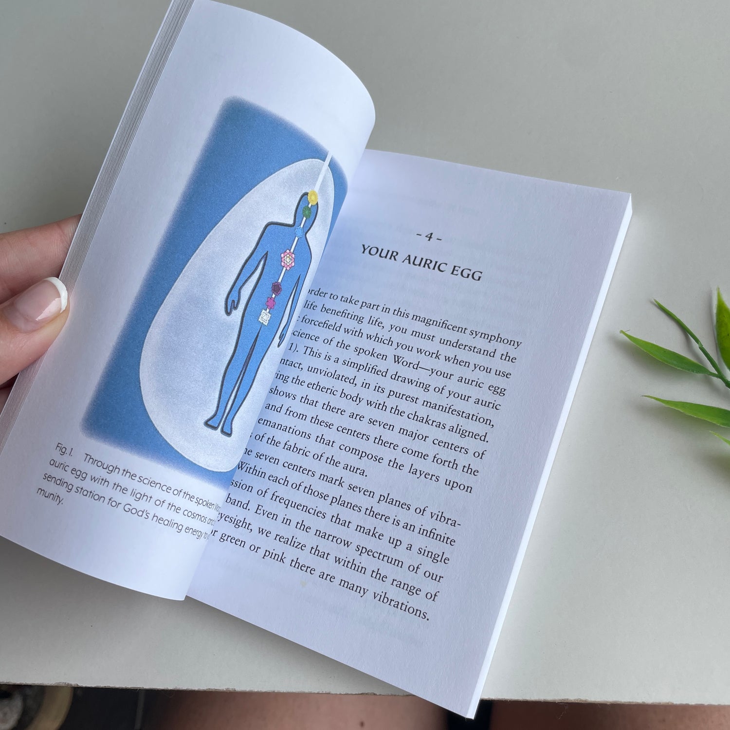 How To Work With Your Chakras Elizabeth Clare Prophet