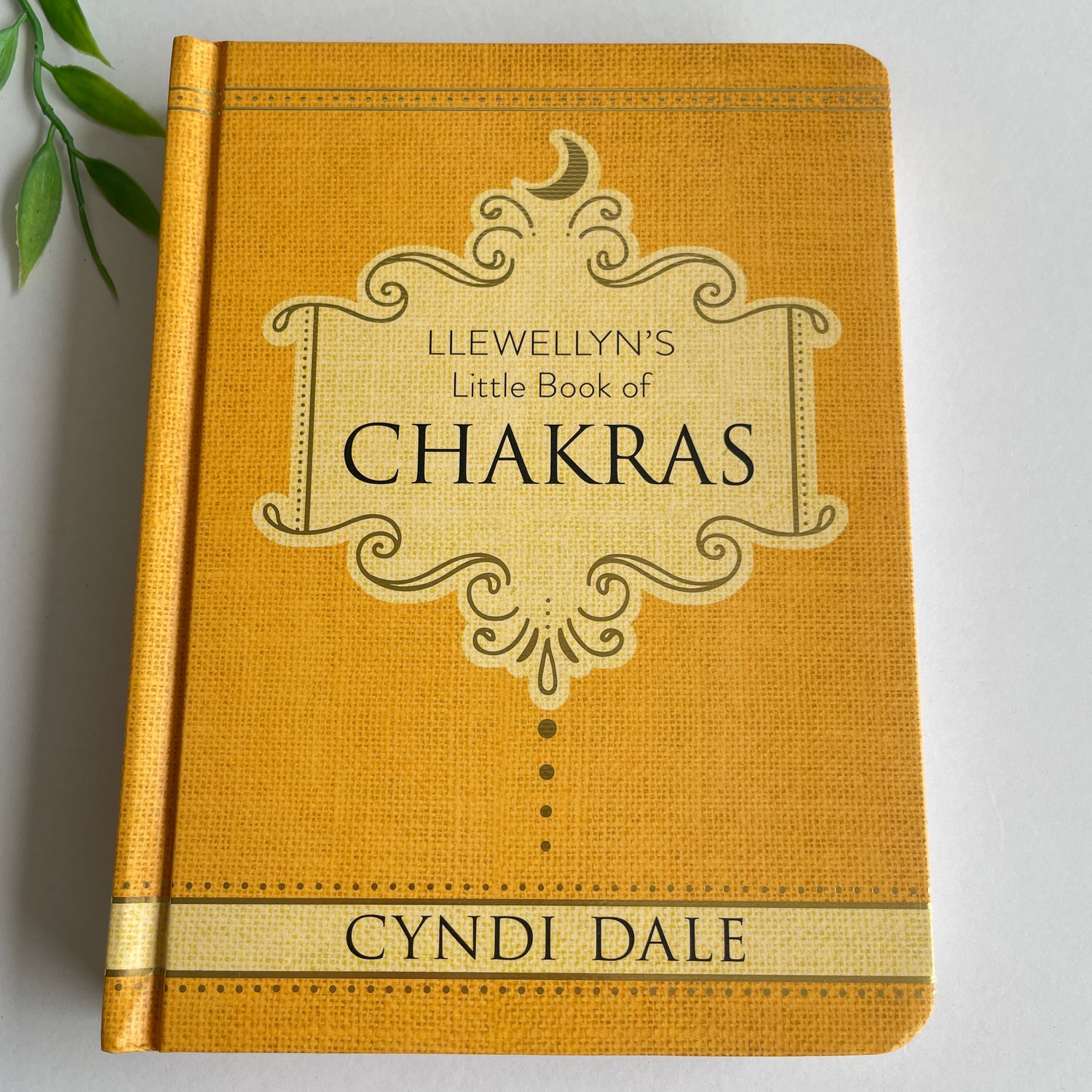 Llewellyns Little Book Of Chakras Cyndi Dale