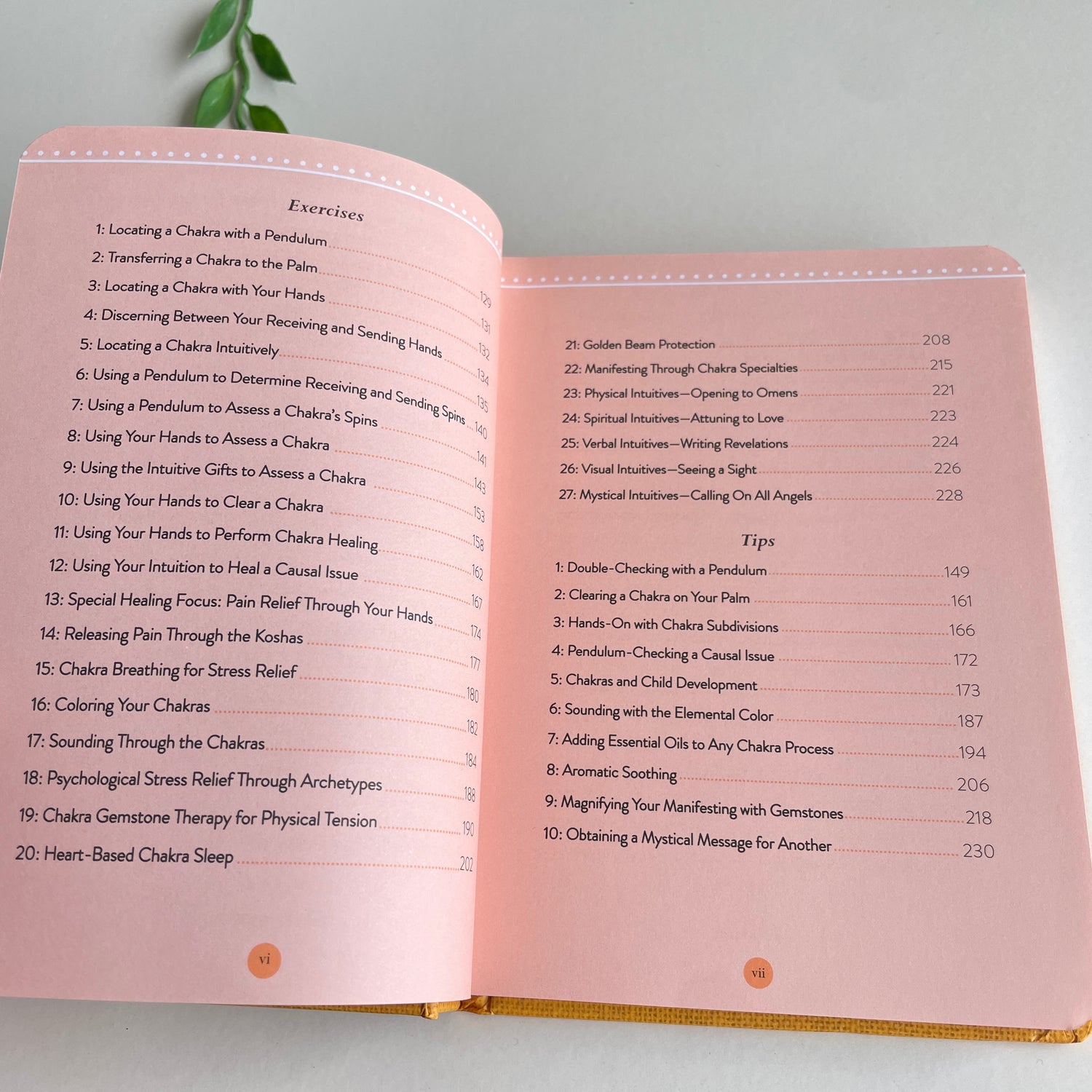 Llewellyns Little Book Of Chakras Cyndi Dale
