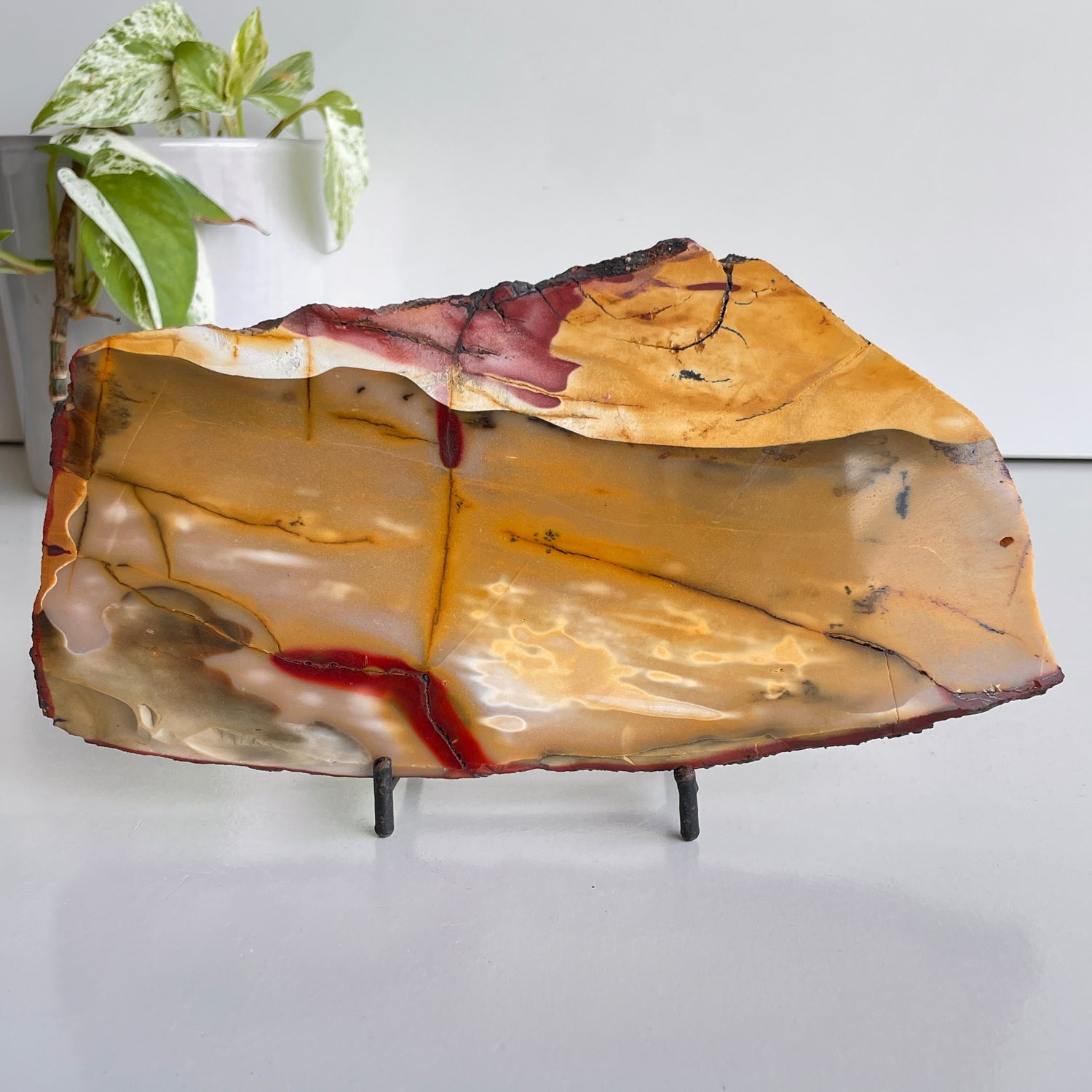 Mookaite Slice 484g