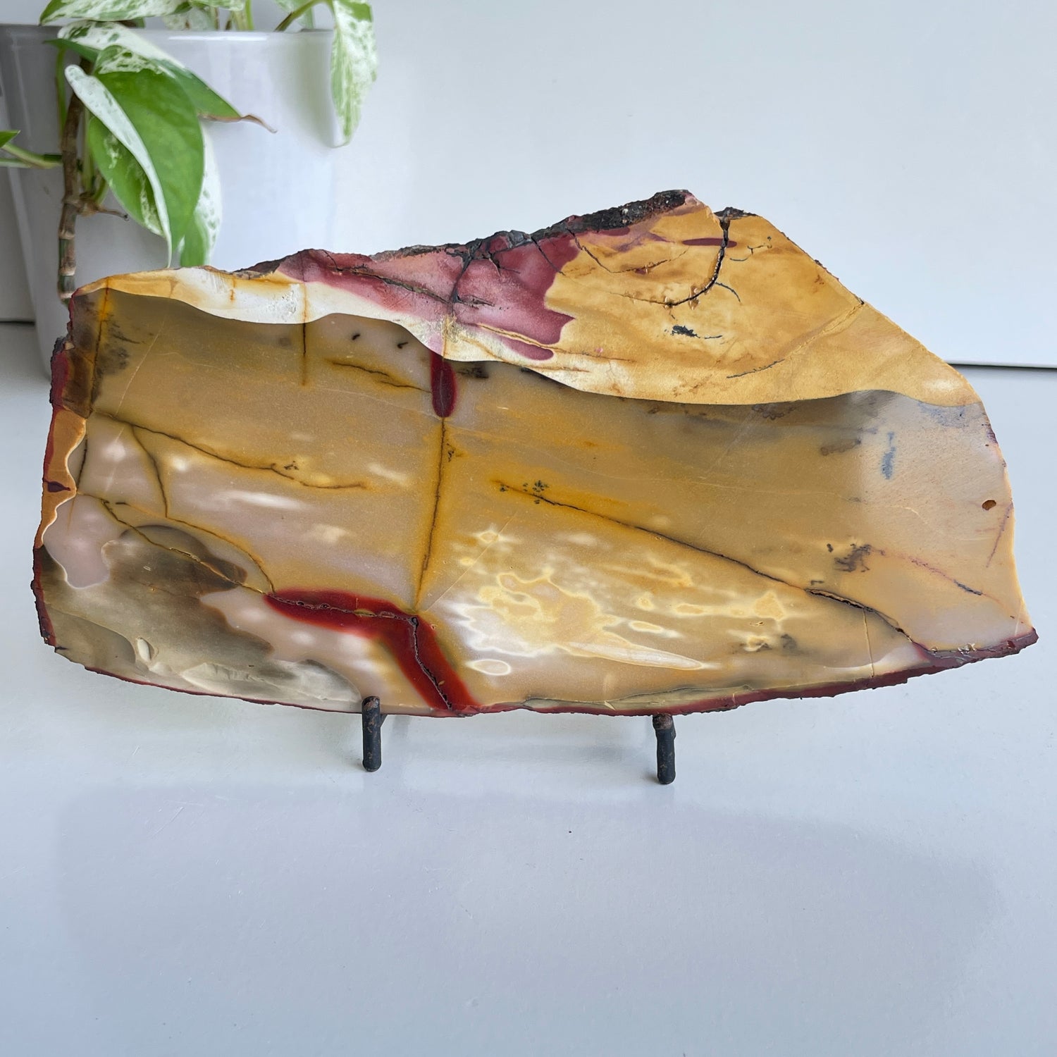 Mookaite Slice 484g