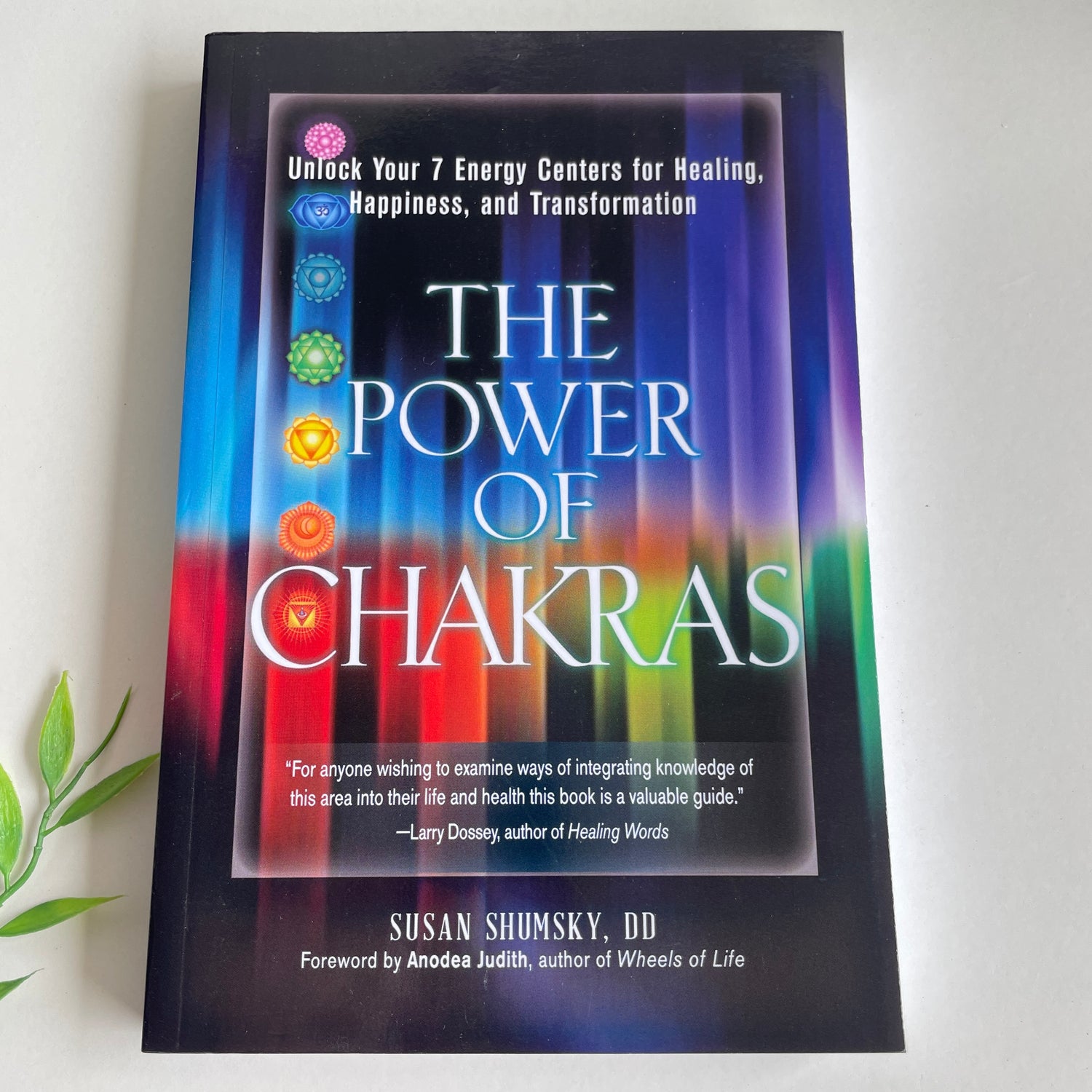 The Power Of Chakras Susan Shumsky