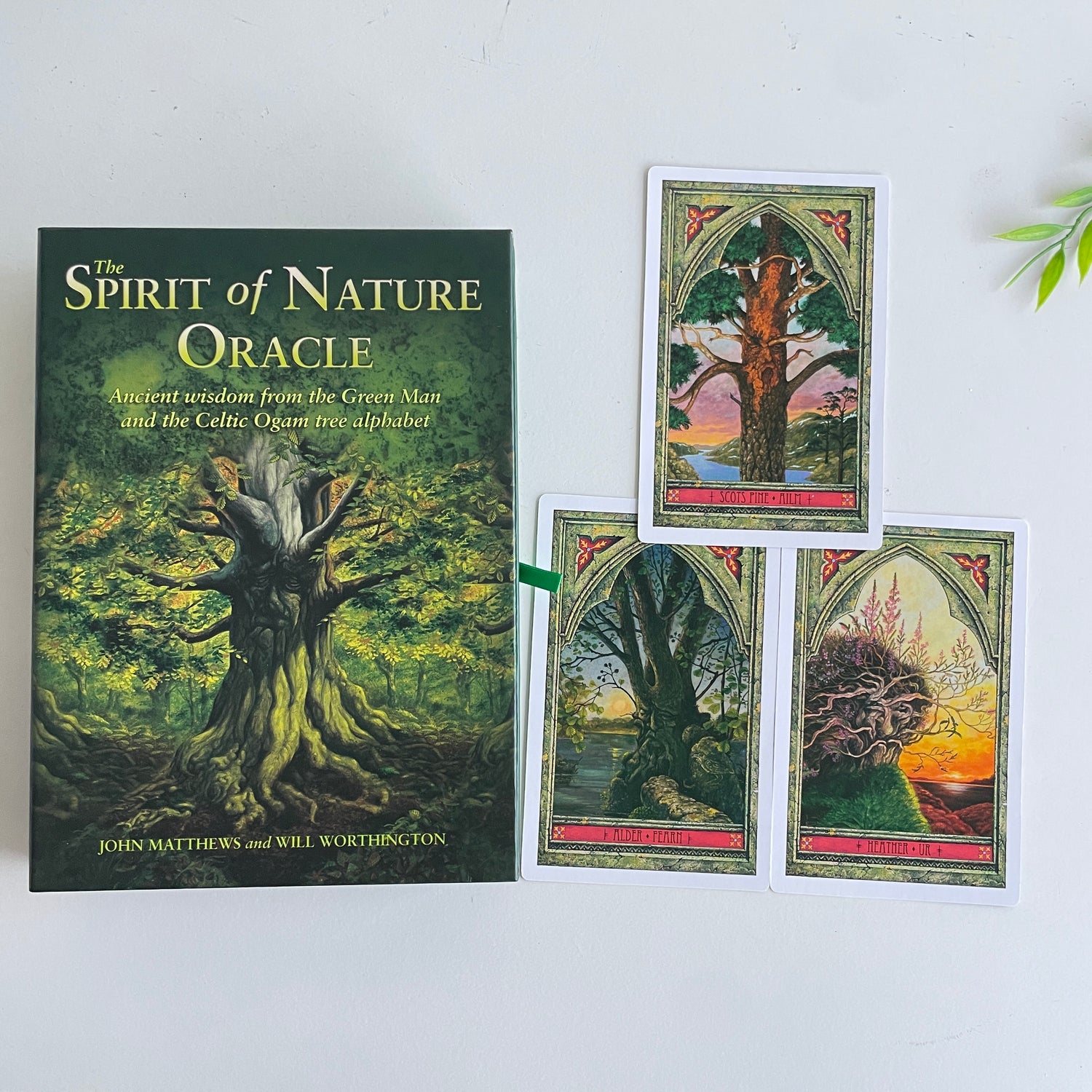 The Spirit Of Nature Oracle John Matthews