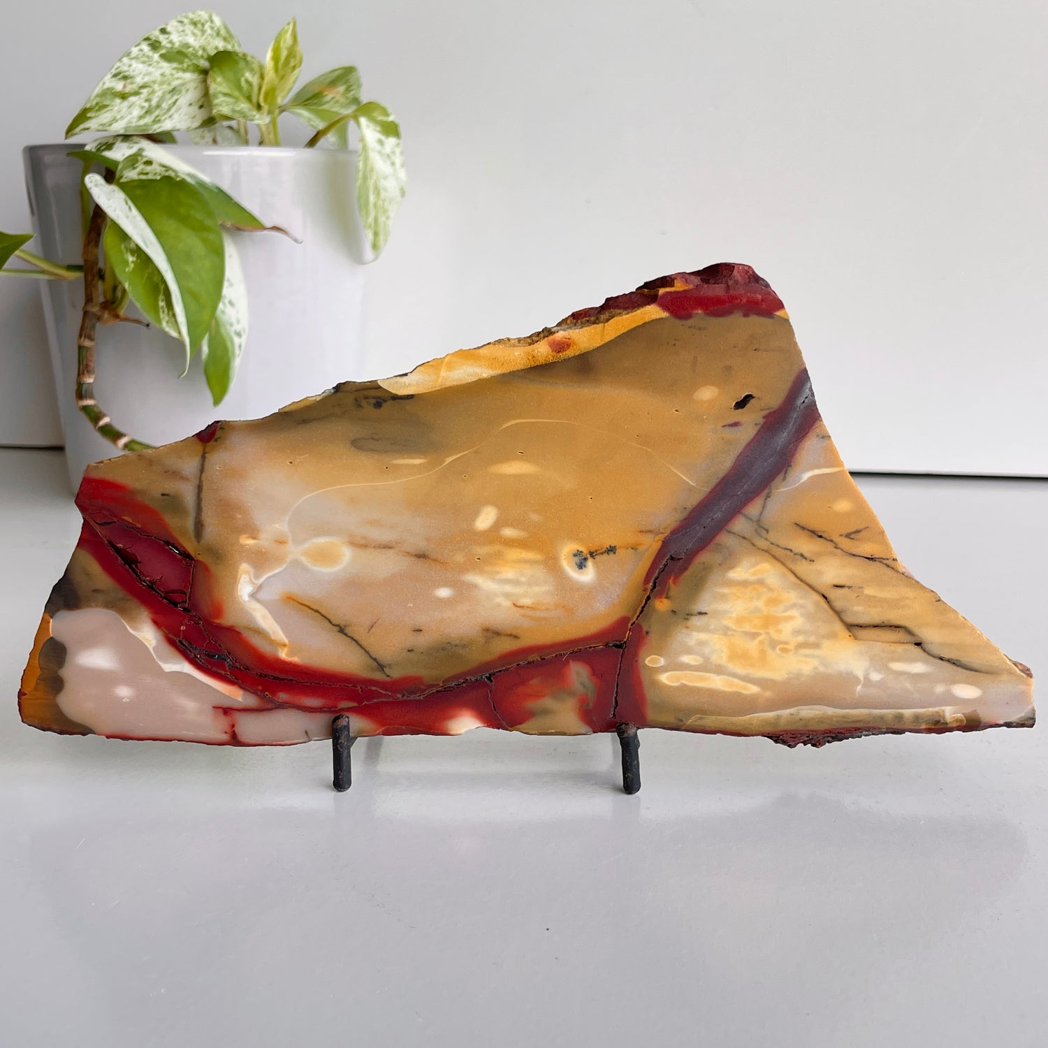 Mookaite Slice 432g