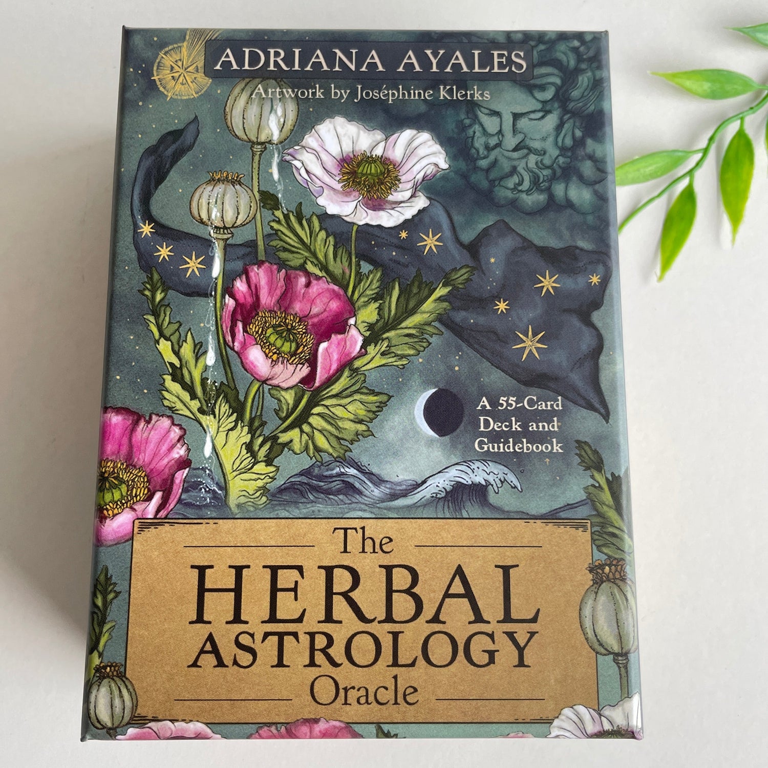 The Herbal Astrology Oracle Adriana Ayales