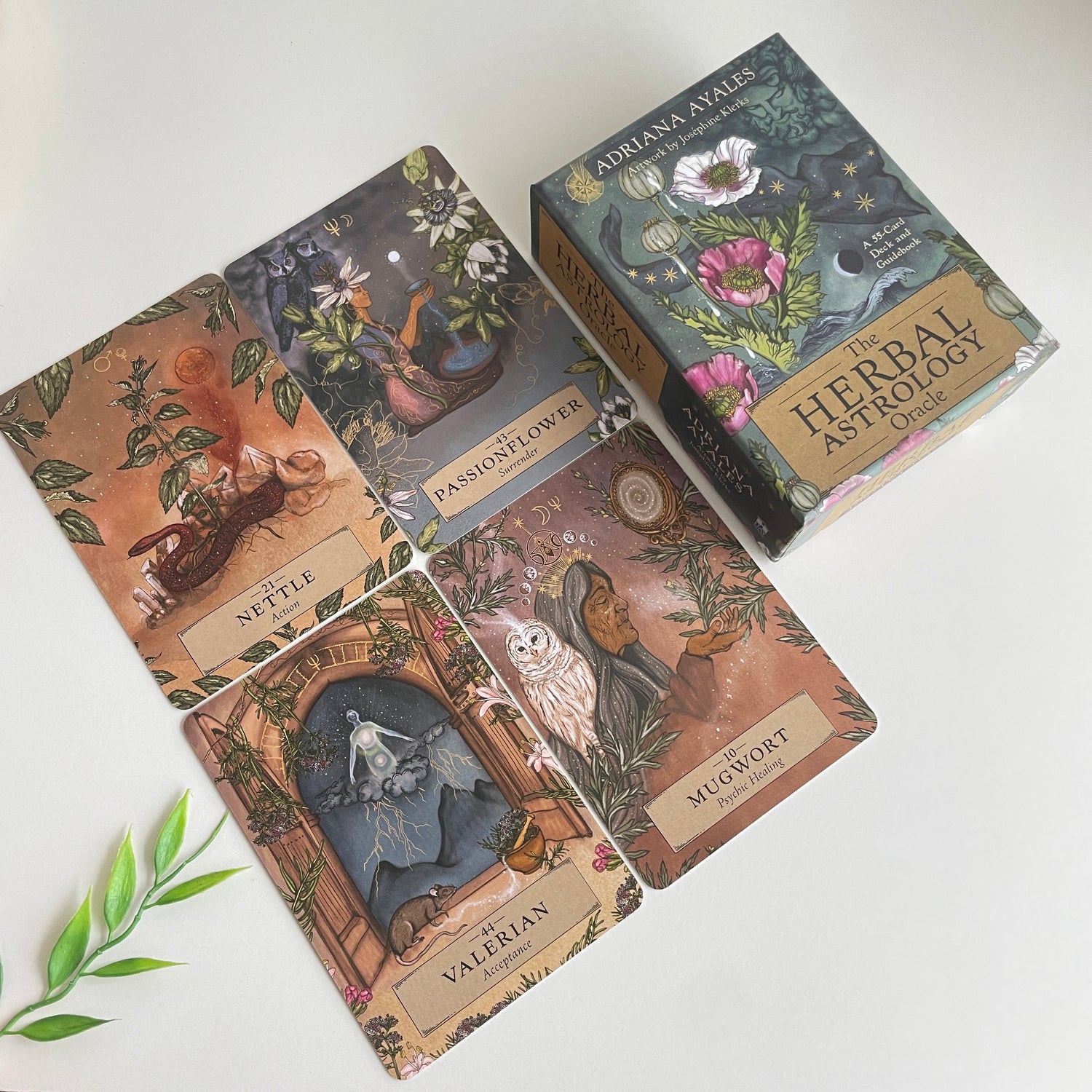 The Herbal Astrology Oracle Adriana Ayales