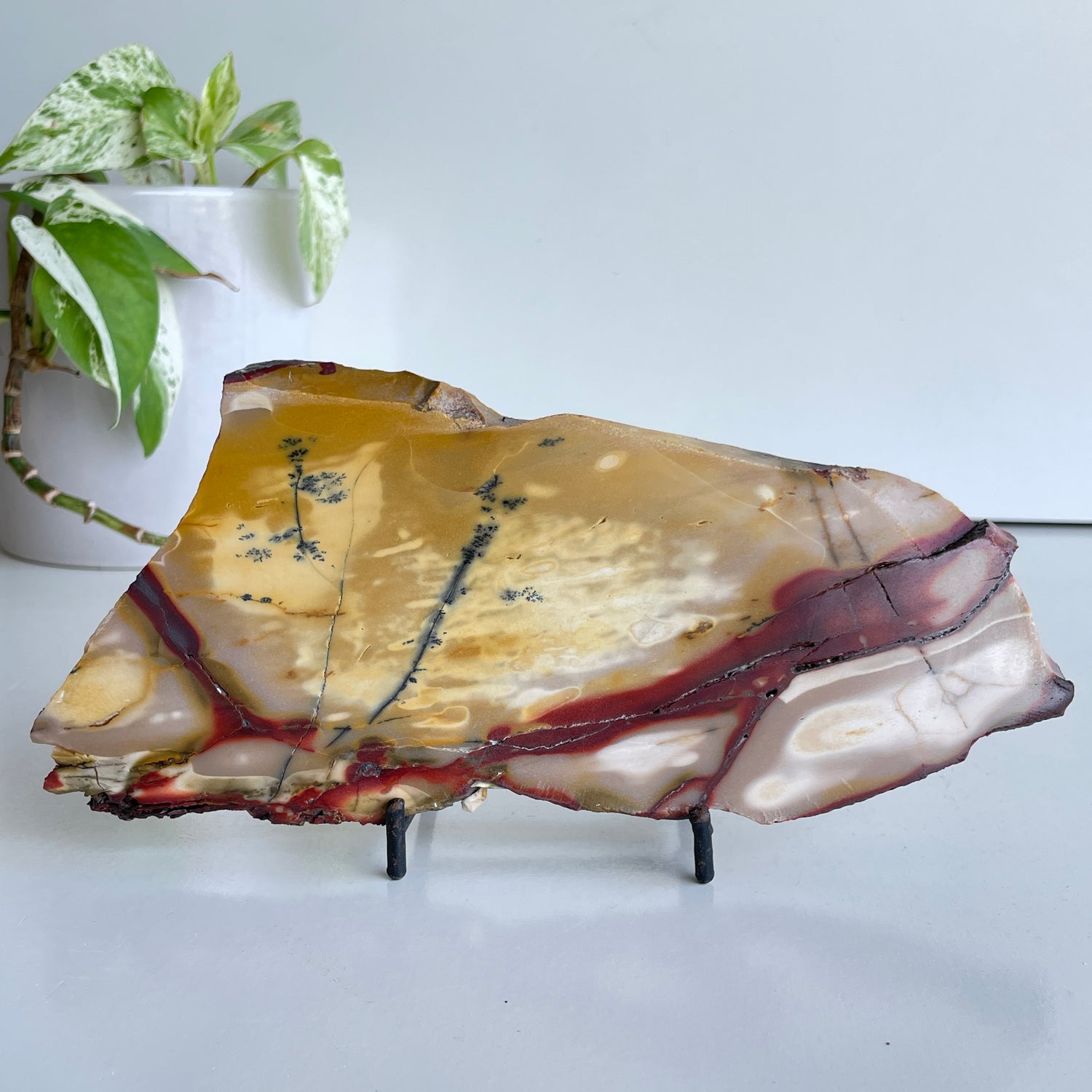 Mookaite Slice 418g