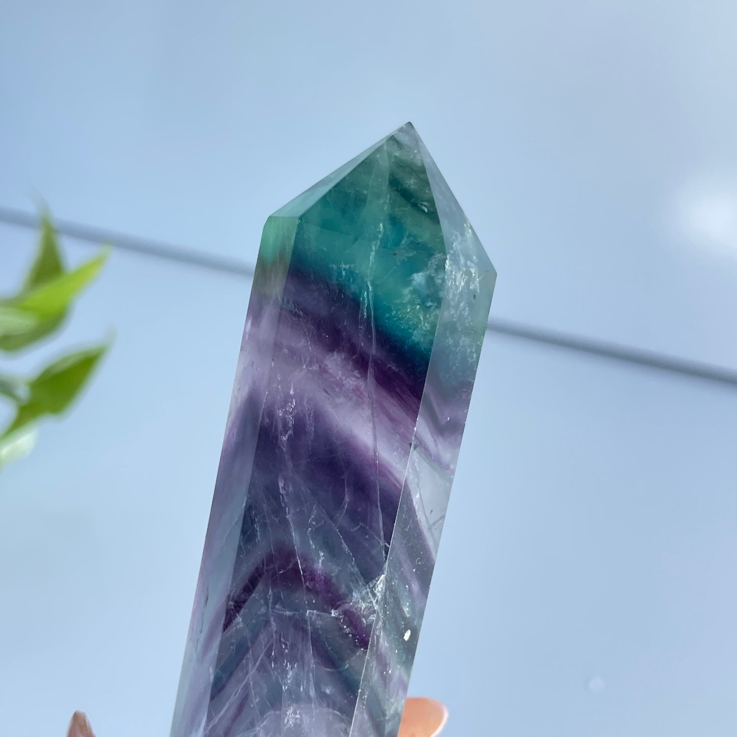 Fluorite Double Terminator 17.6cm