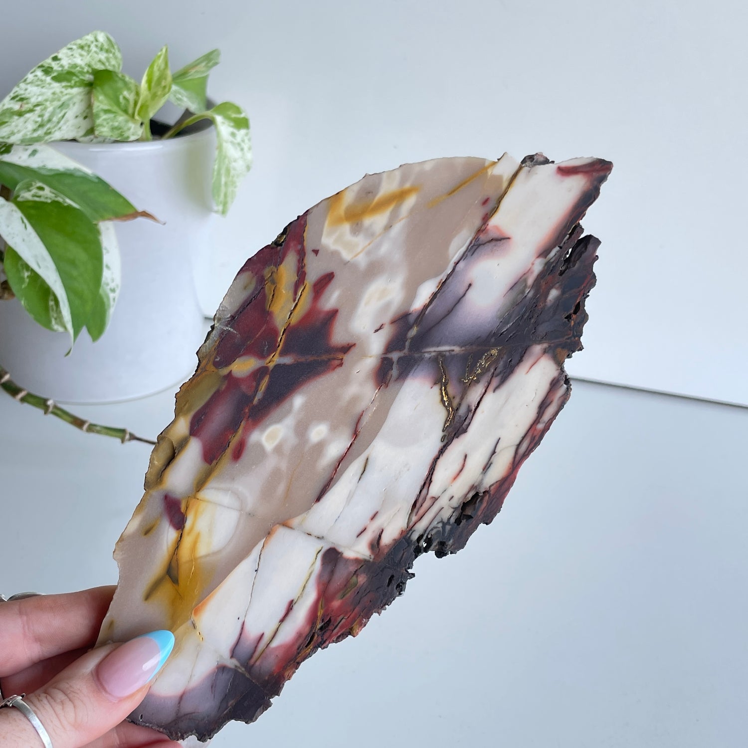 Mookaite Slice 304g