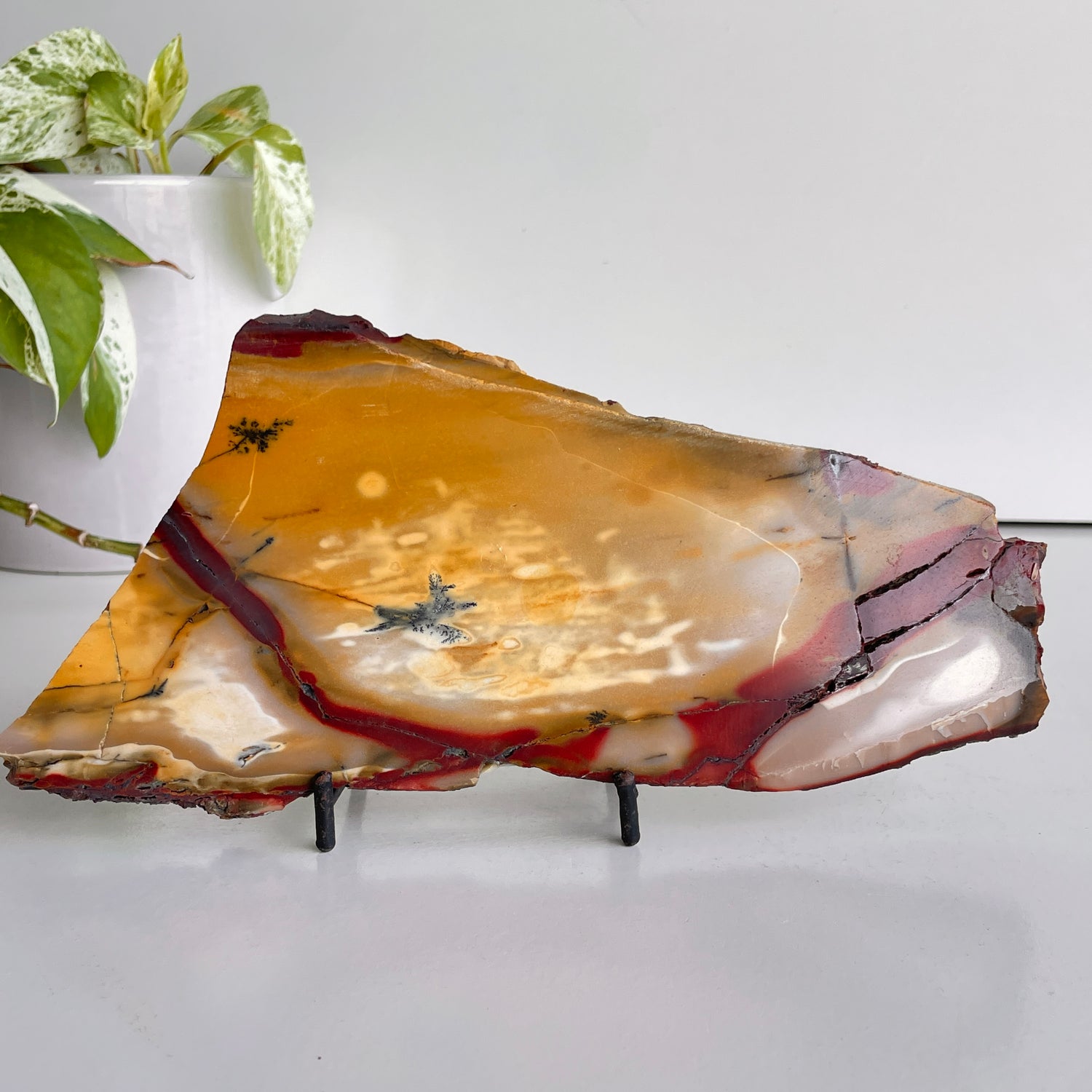 Mookaite Slice 414g