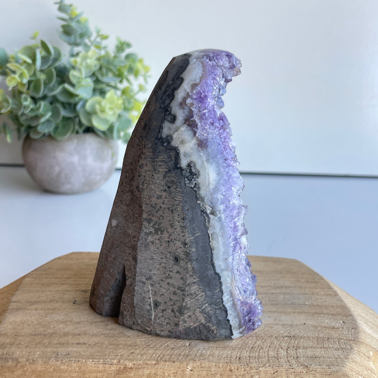 Amethyst Cutbase 632g