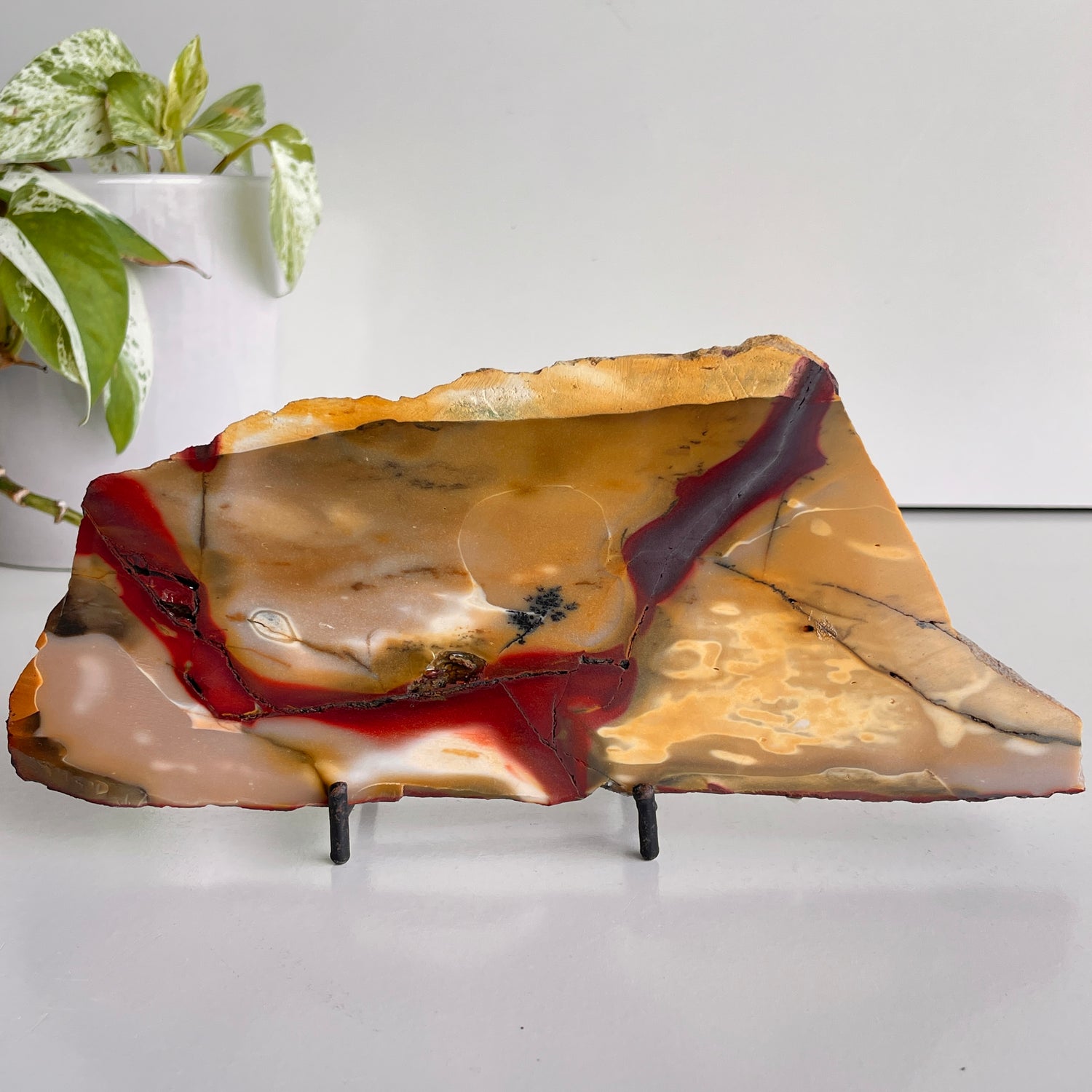 Mookaite Slice 374g