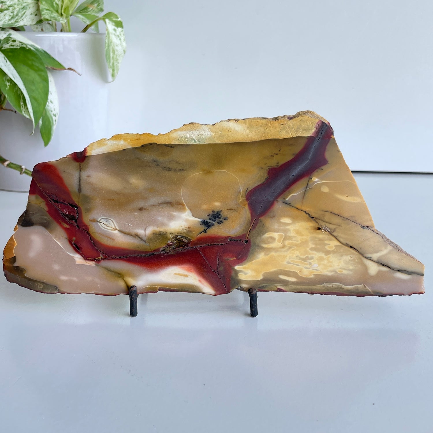Mookaite Slice 374g